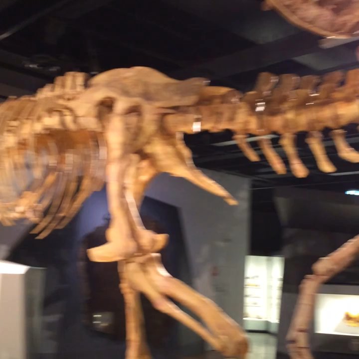 Melbourne Museum - Melbourne, Australia - Melbourne Museum - Museums Near Me - Melbourne, VIC