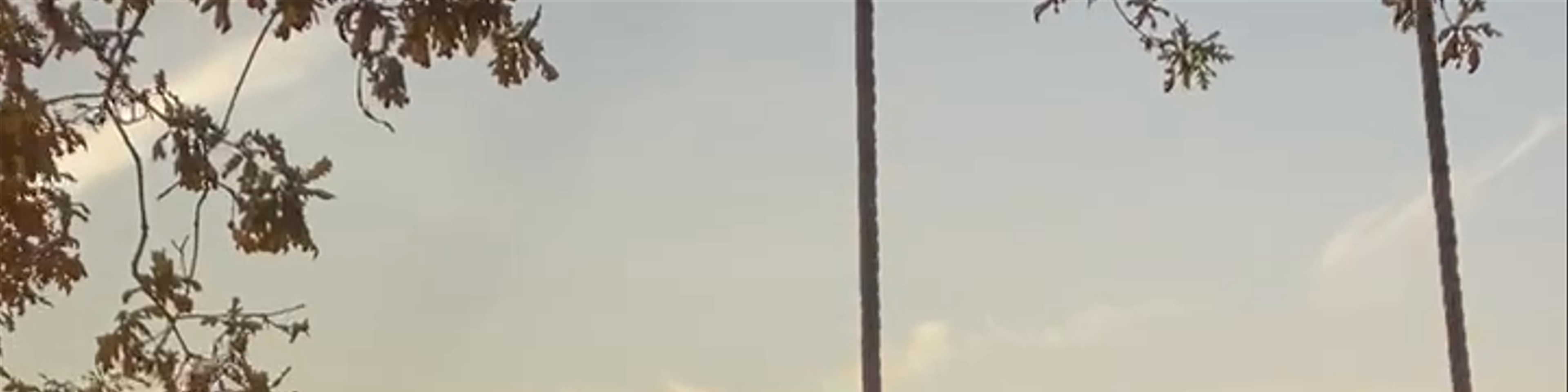 Vigo