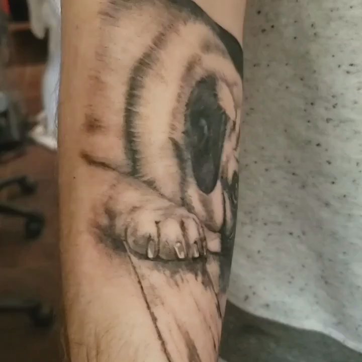 Styx Tattoo - Pug tattoo by Philipus - Tattoo Near Me - Elmhurst, New York