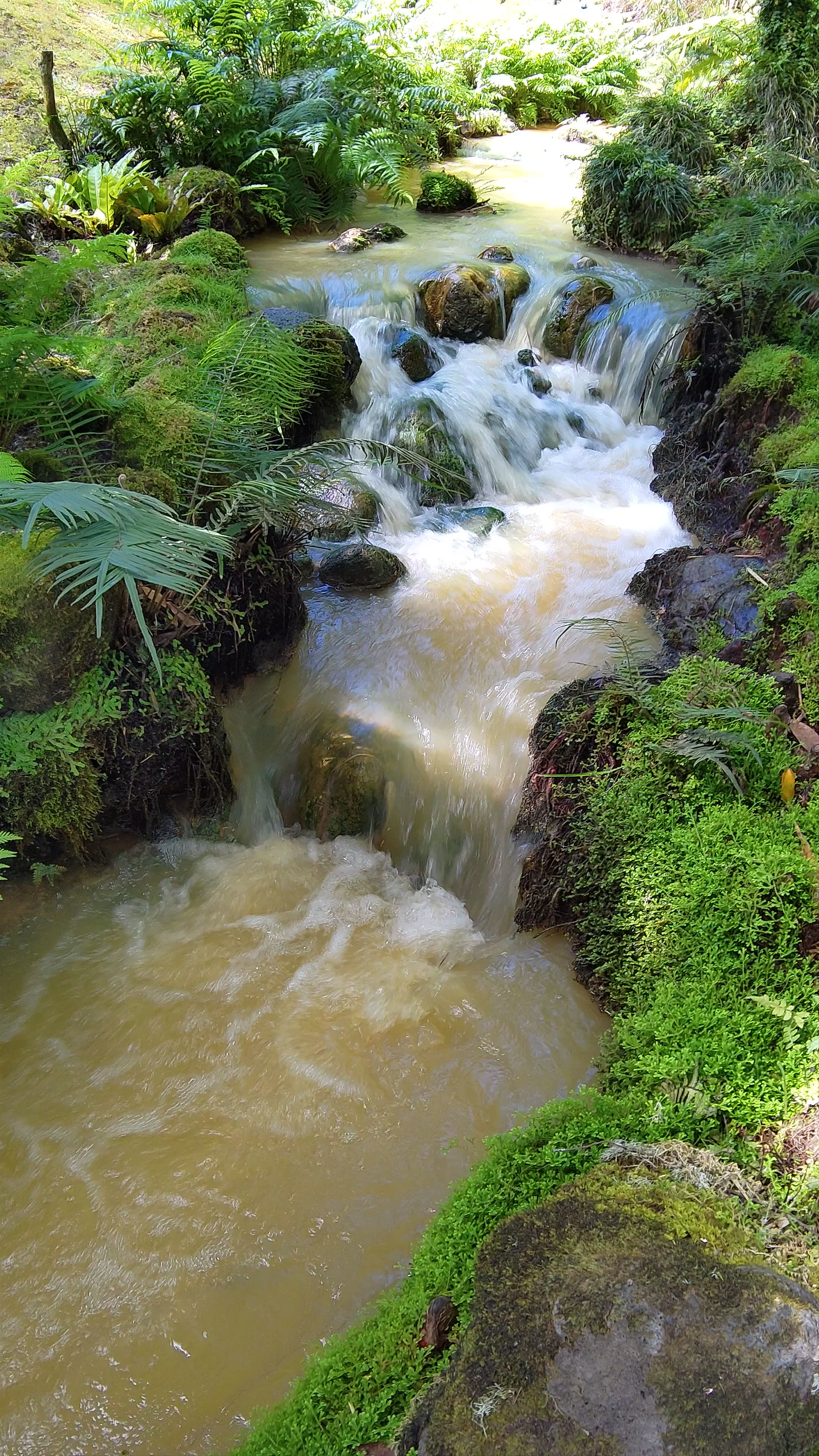 Serene Waterfall and Lush Greenery at Parque Terra Nostra, Furnas