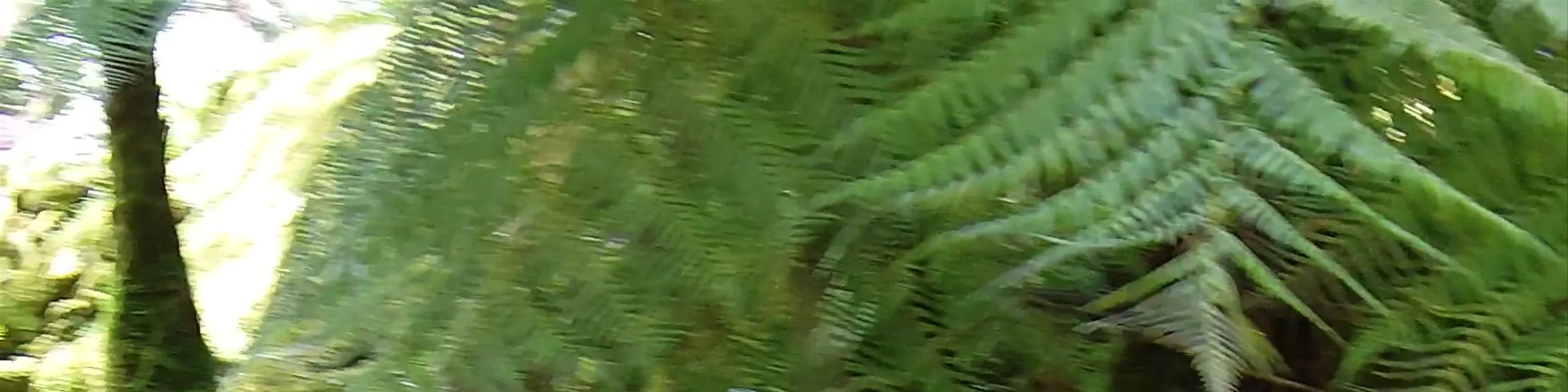 Parque Terra Nostra