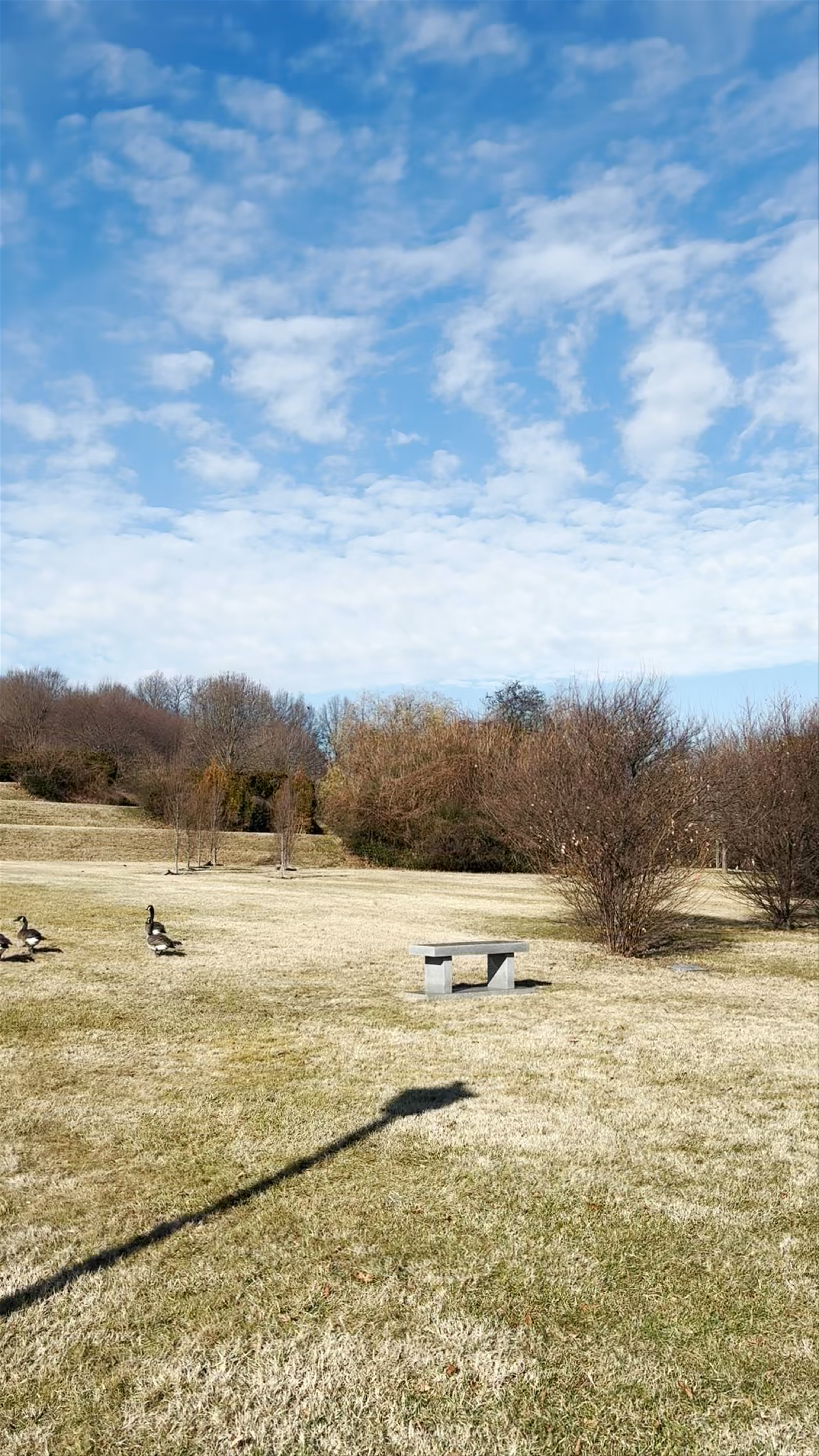 George Washington Masonic National Memorial
