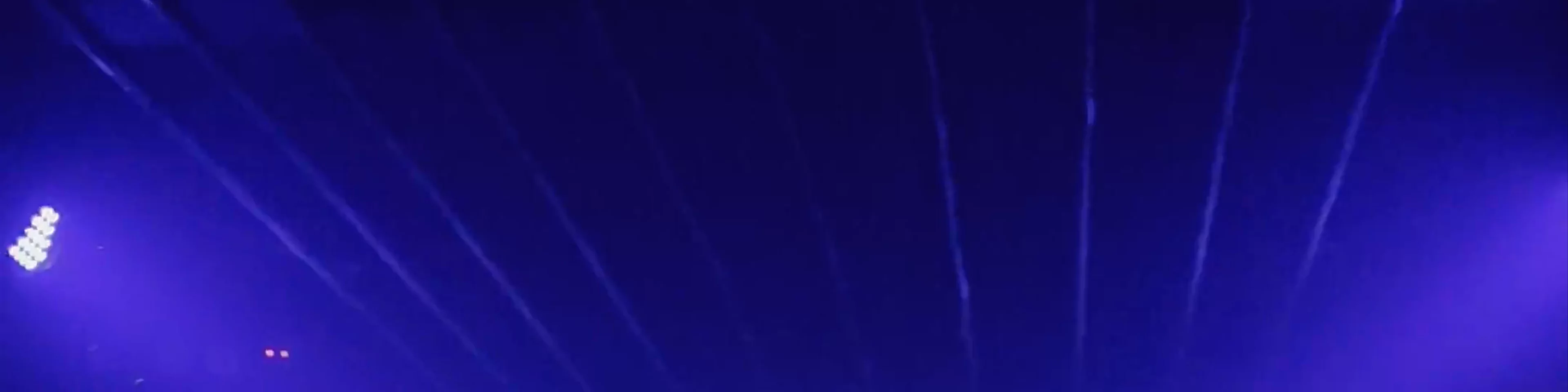 Animal NightLife on Instinct