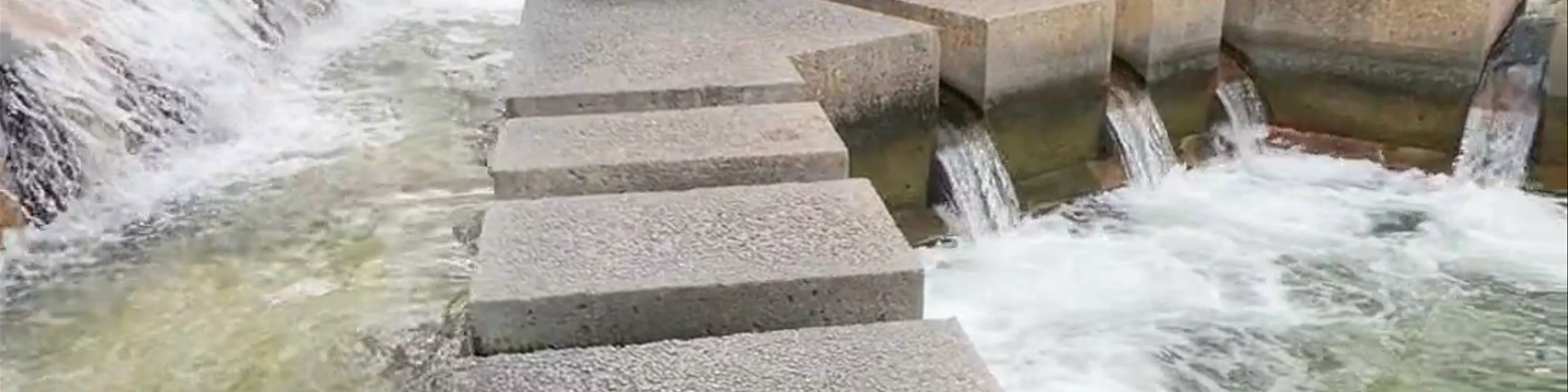 Fort Worth Water Gardens