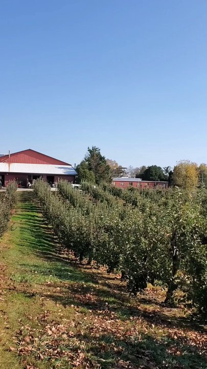 Milburn Orchards - Fruits & Veggies Near Me - Elkton, Maryland