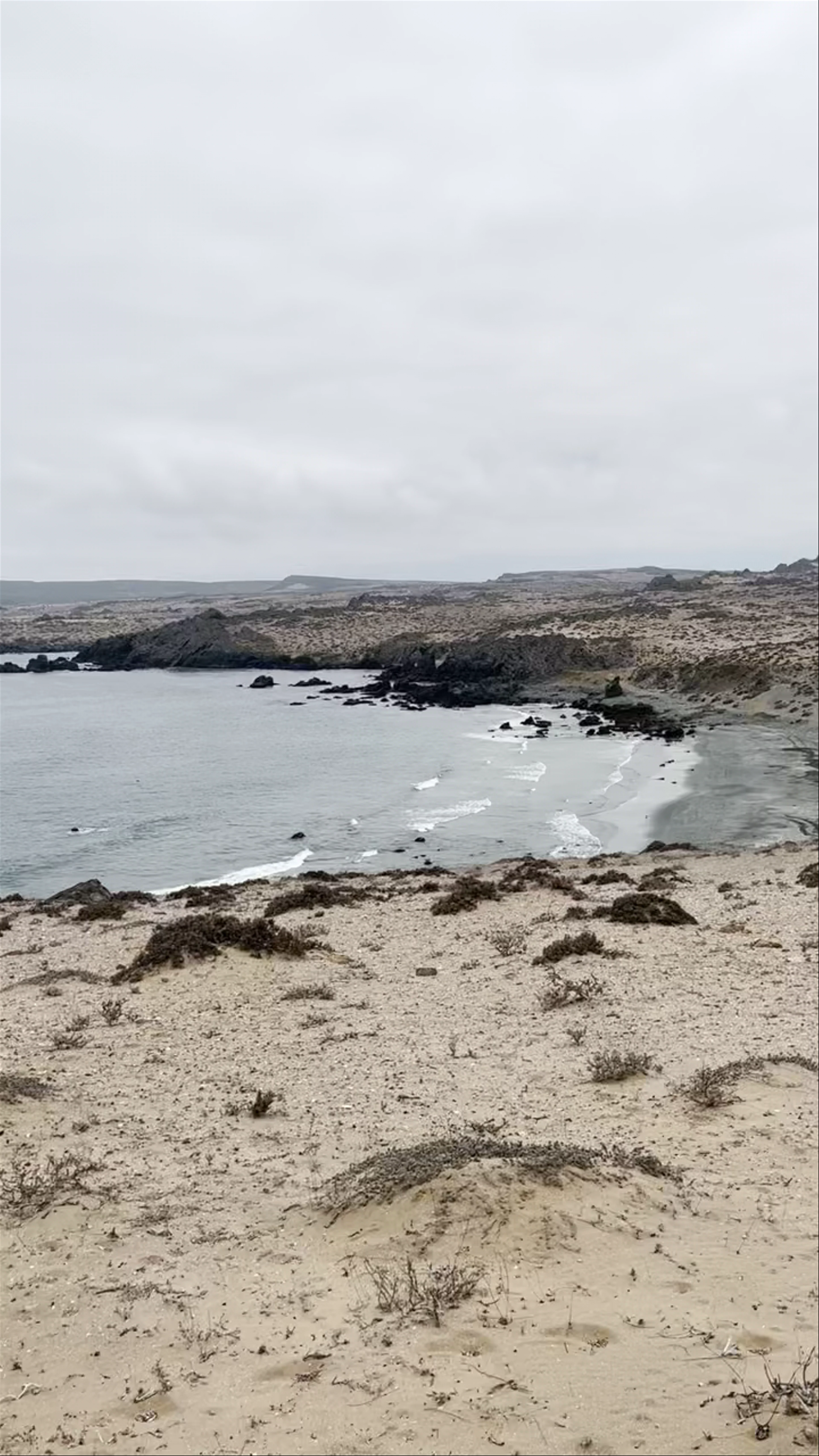 Caleta Chañaral Beach