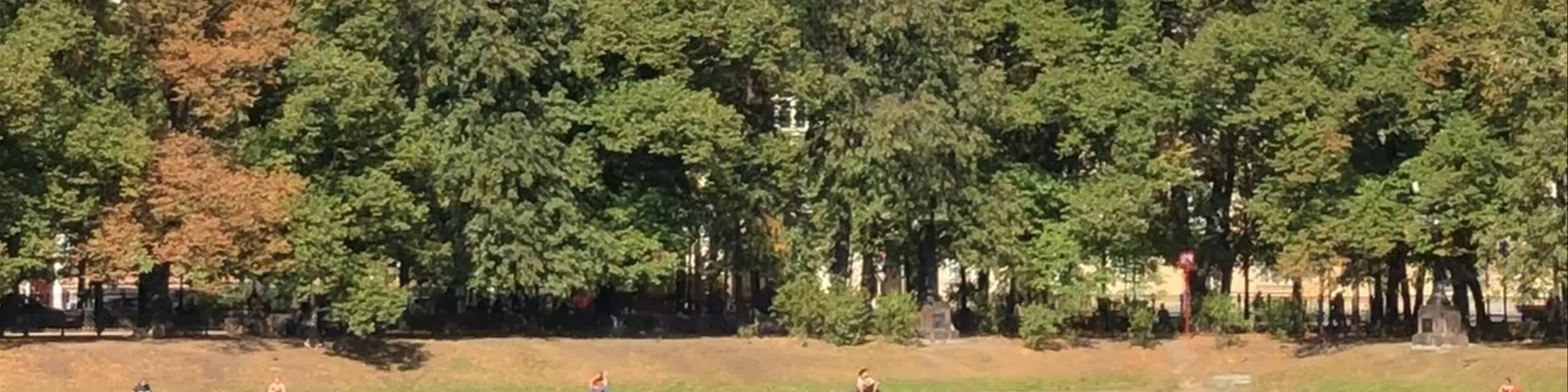 Patriarch's Ponds