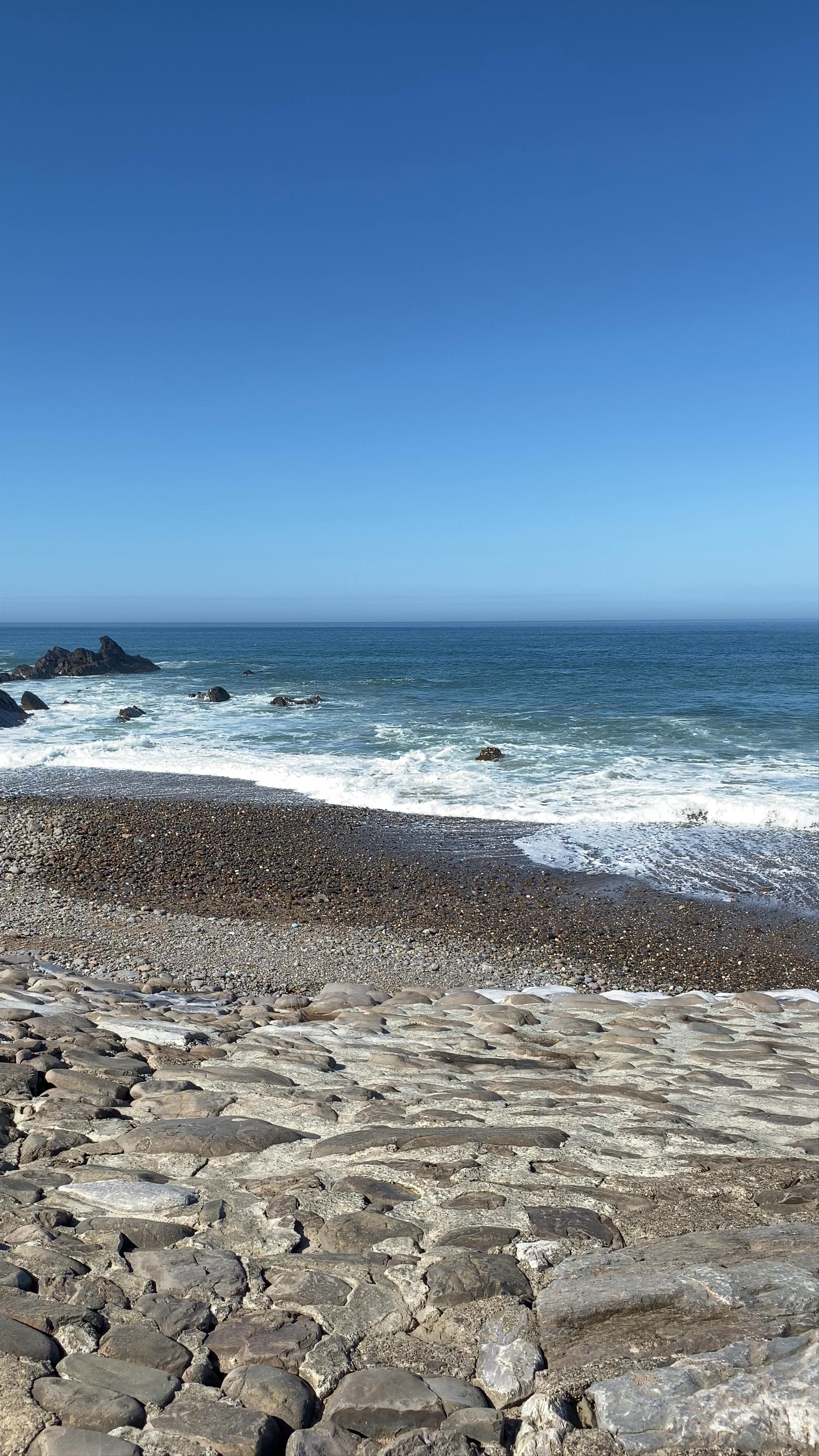 Viewing Point on the Levee