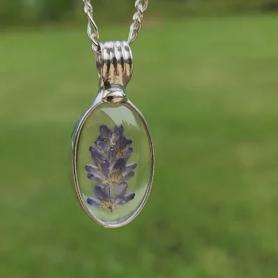 Preview image for video