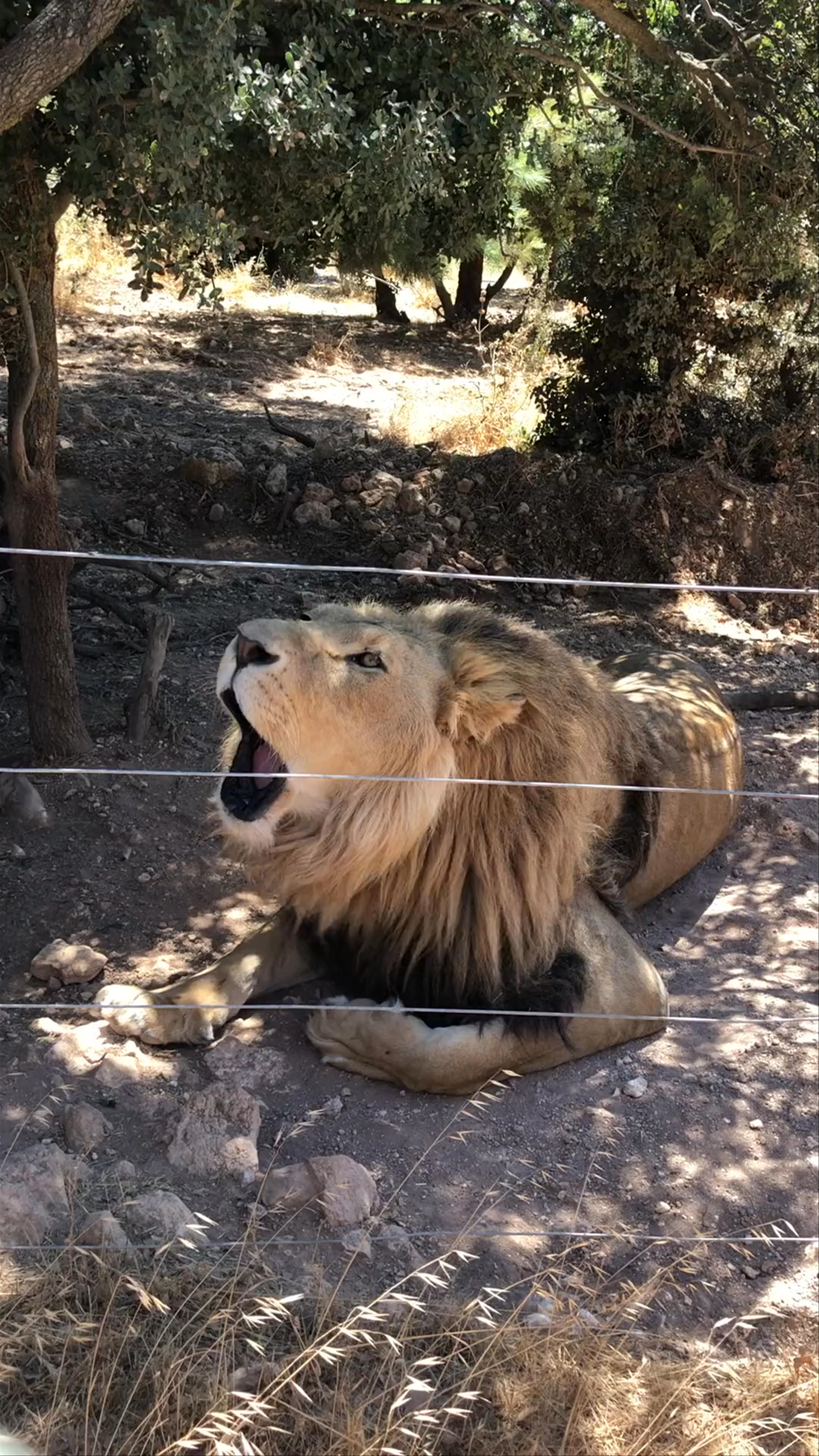 Nairobi National Park Main Gate