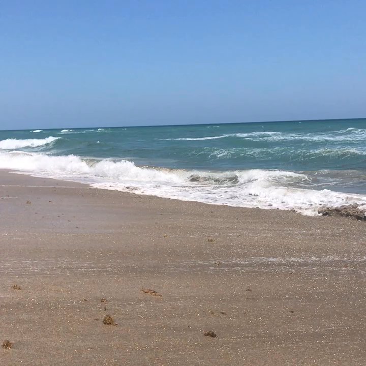 Bryn Mawr Beach - Beaches Near Me - Stuart, Florida