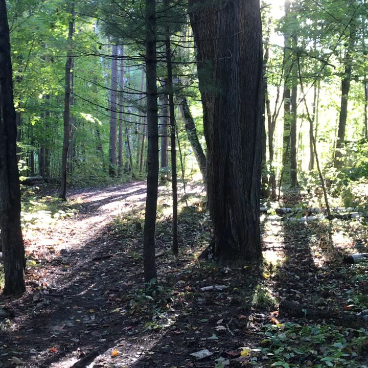 YMCA Camp U-Nah-Li-Ya - Summer Camps Near Me - Suring, Wisconsin