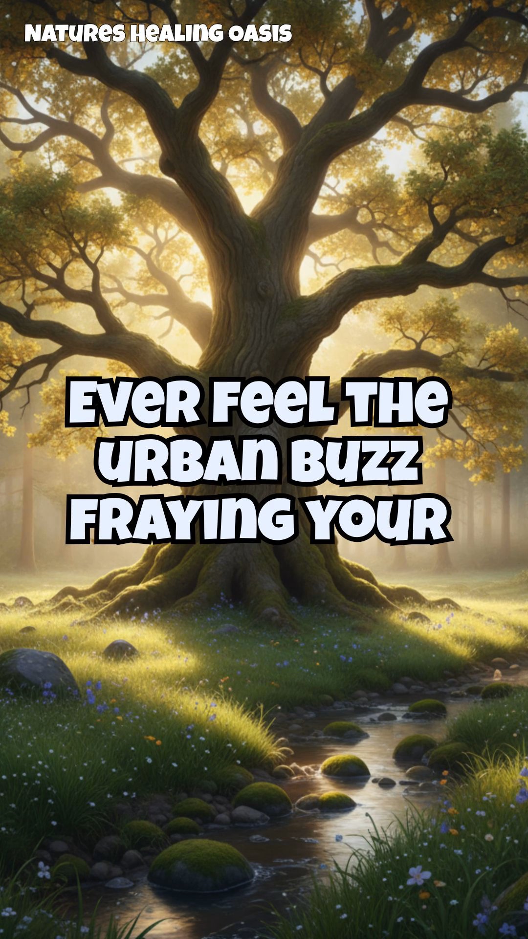 Tap into Tree Energy: Grounding Techniques to Ease Anxiety and Stress