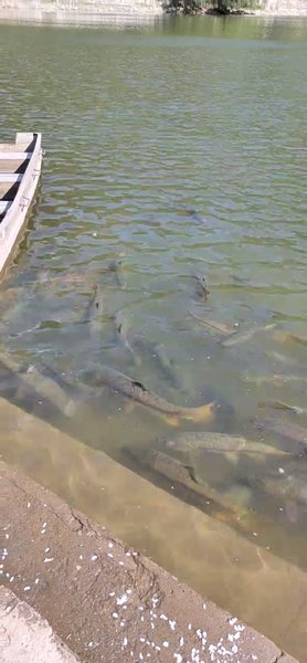 Photo of Nahan -Renuka lake