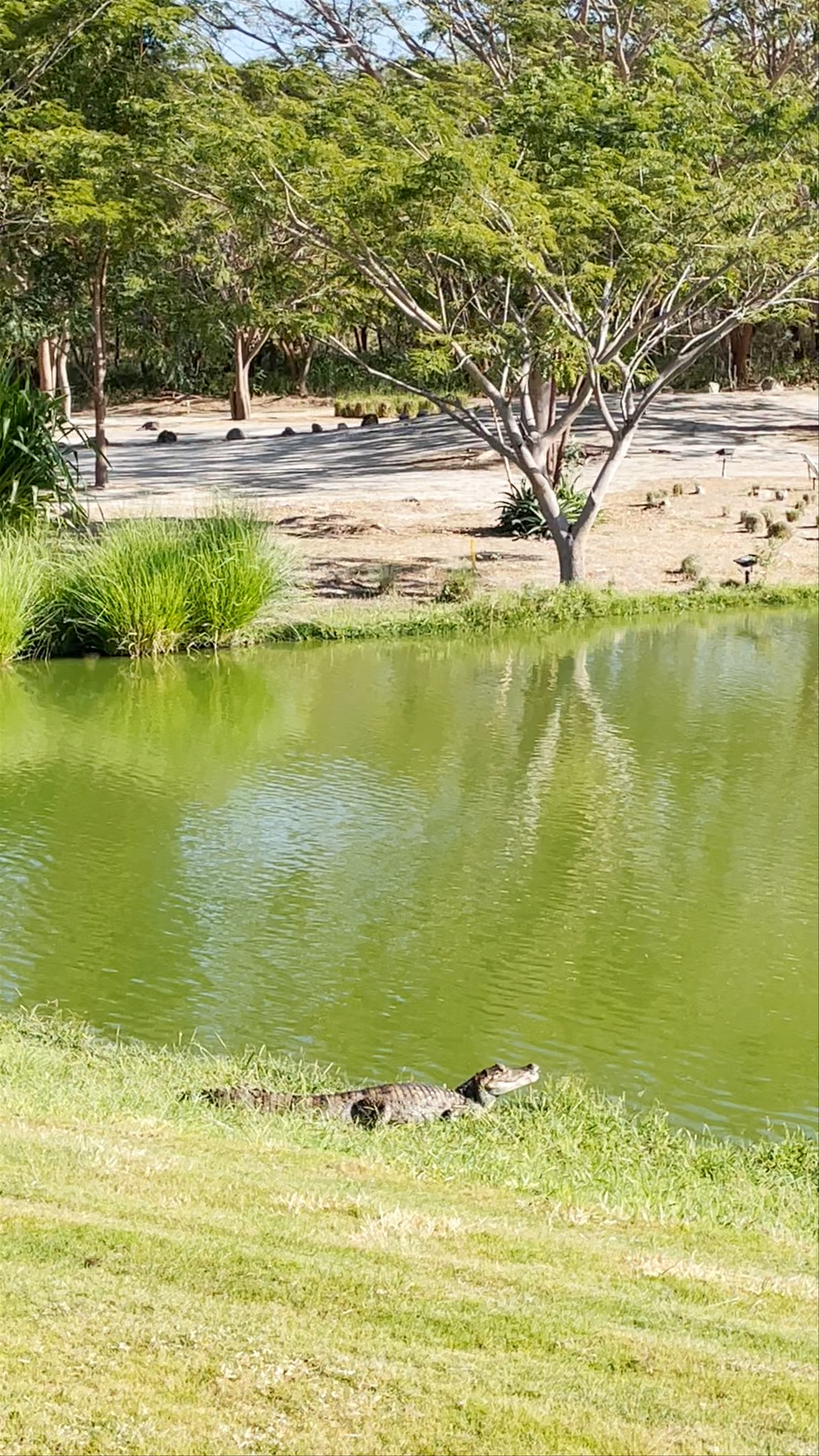 Buenaventura Golf Club
