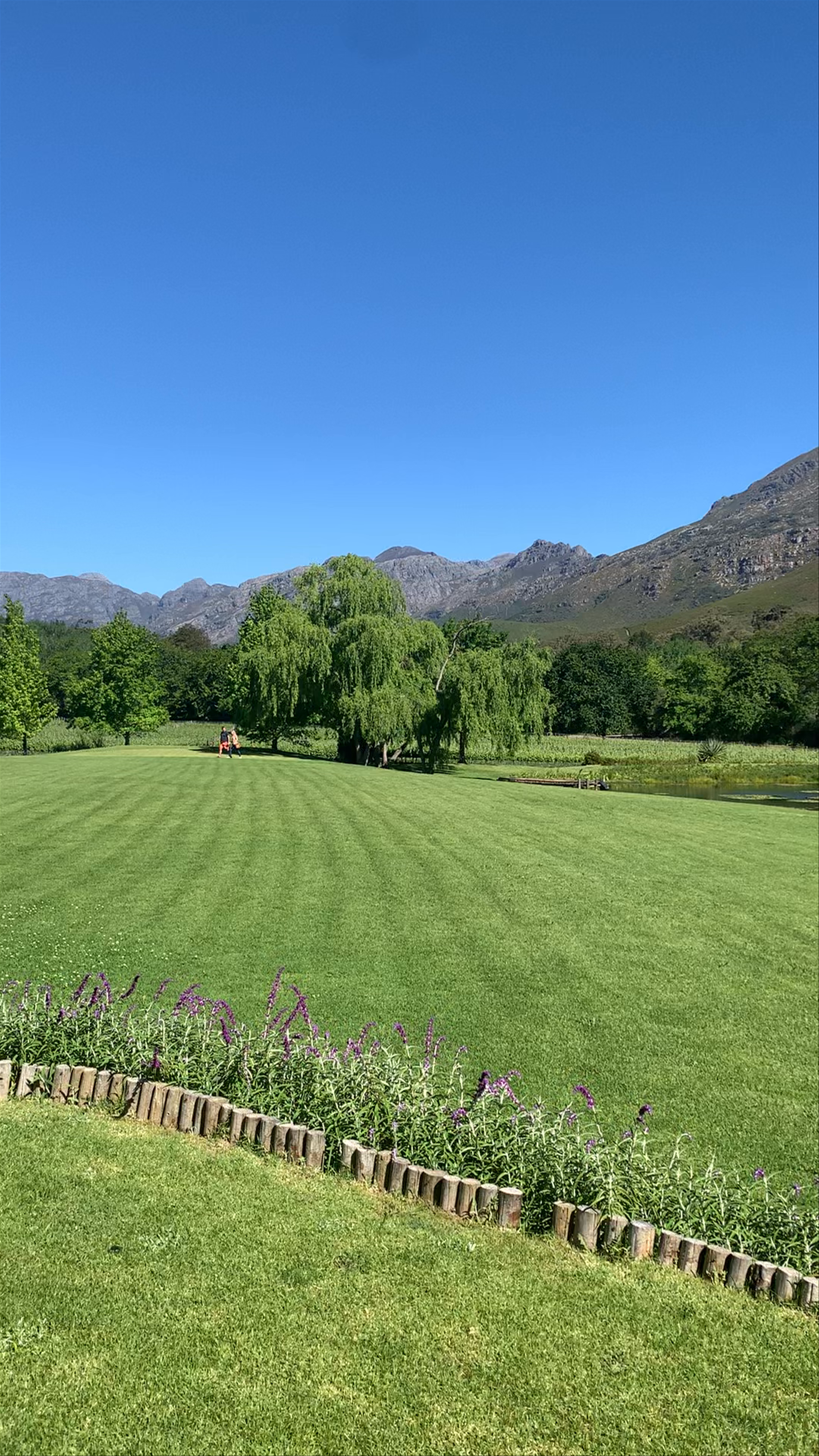 Postcard Café at Stark-Condé Wines