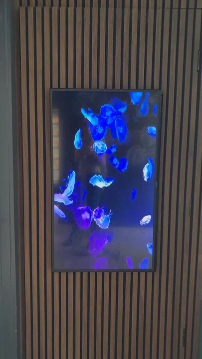 The Googan Coffee - Very cool 3D pic near the restrooms - Coffee & Tea Near Me - Stuart, Florida
