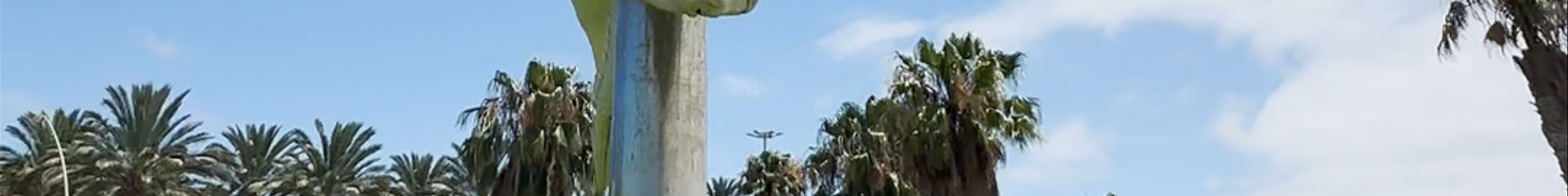 Tours & experiences in Costa Calma