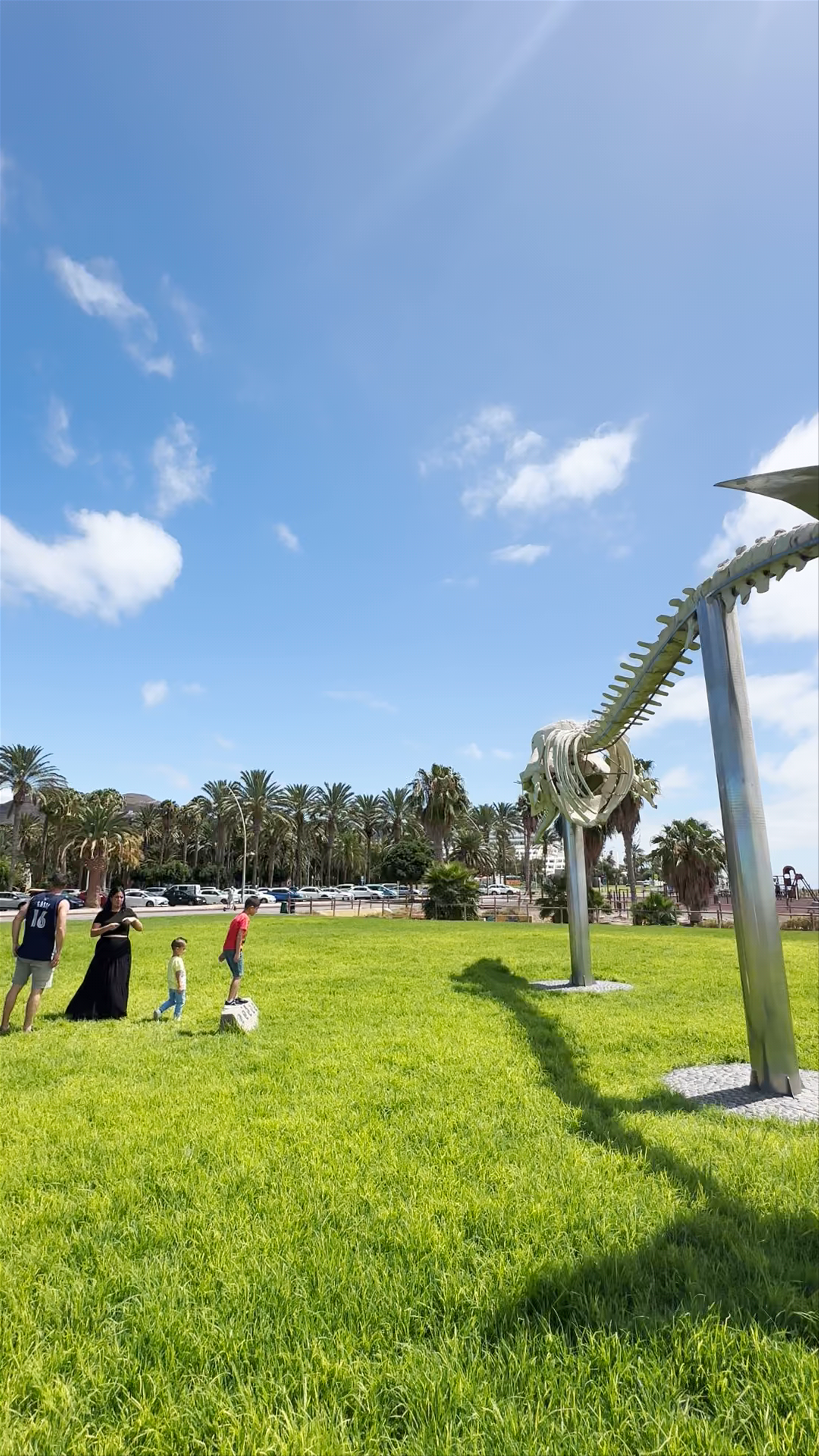 Senda de los Cetáceos: Majestic Whale Skeleton Trail in Solana Matorral, Canary Islands
