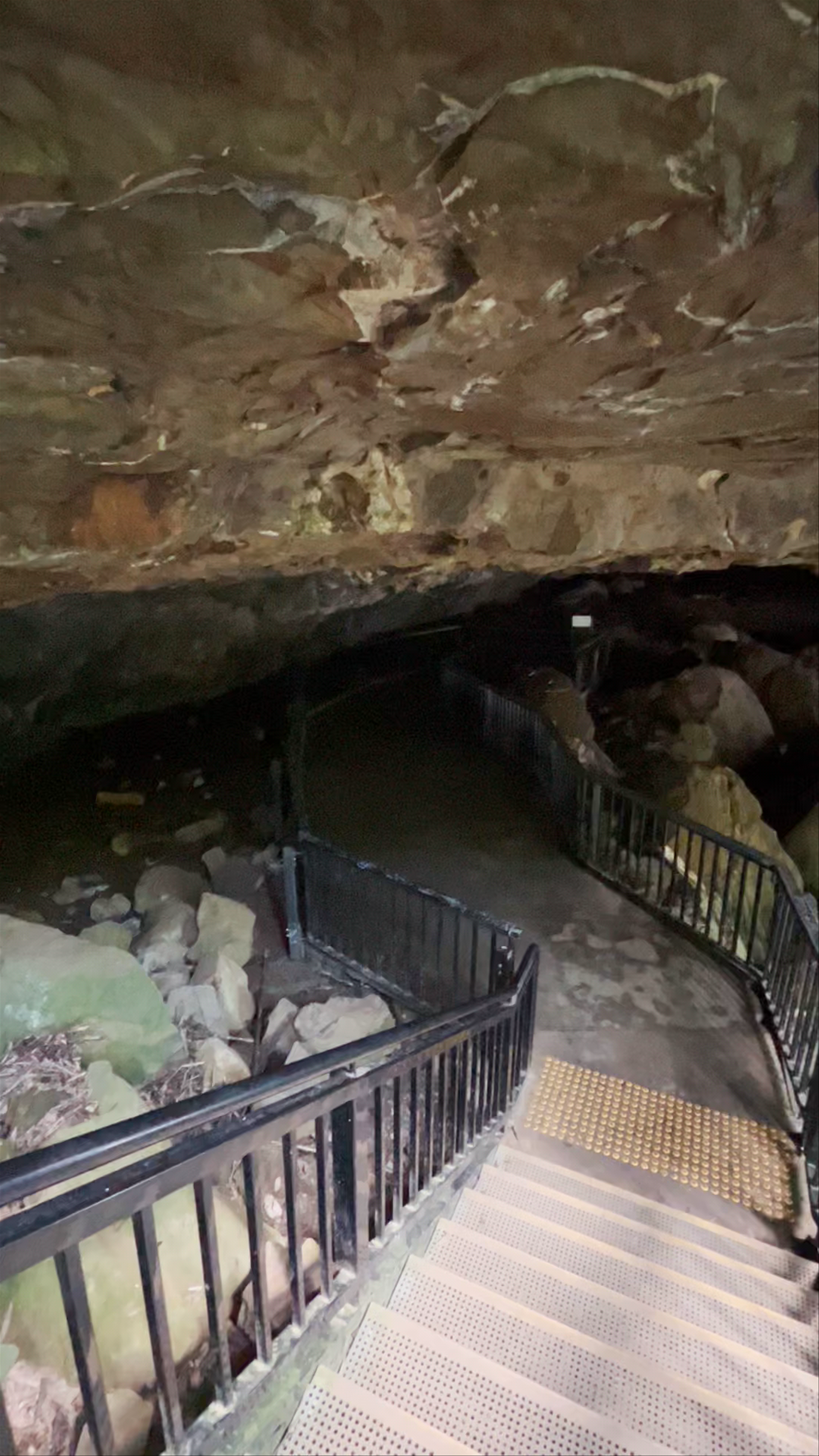 Discover the Enchanting Natural Bridge at Springbrook National Park