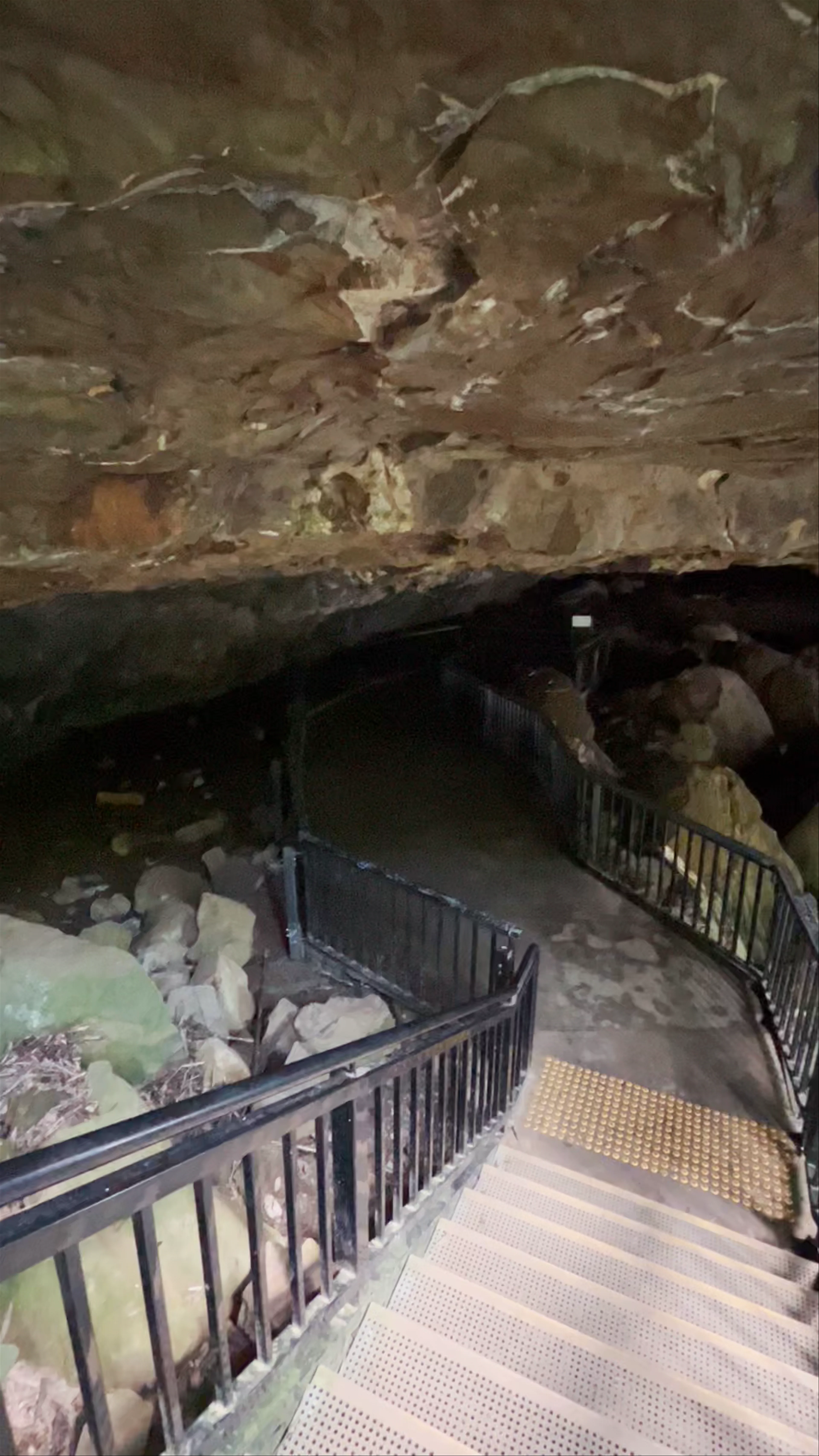 Natural Bridge, Springbrook National Park