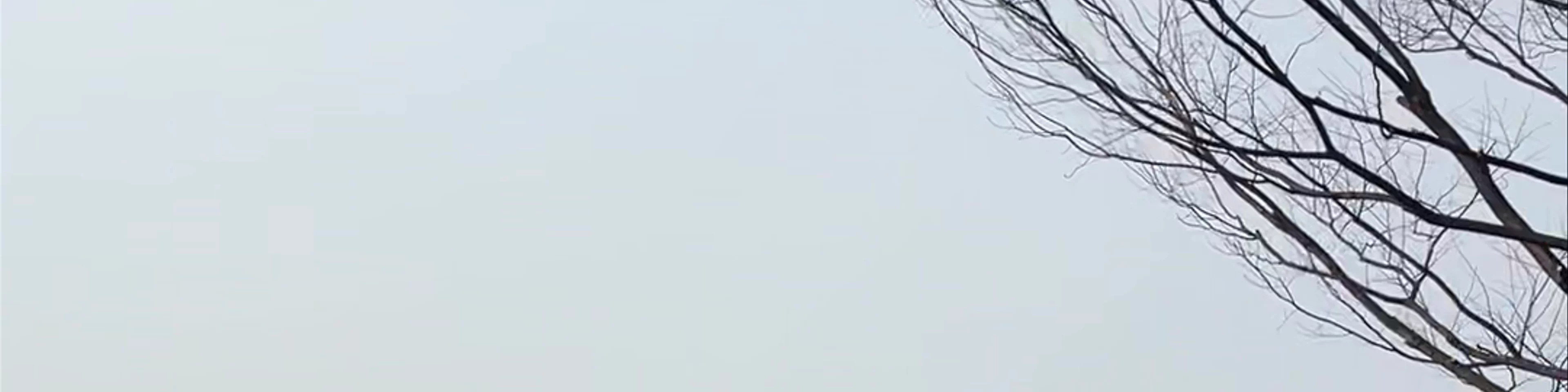 Gyeonghoeru Pavilion