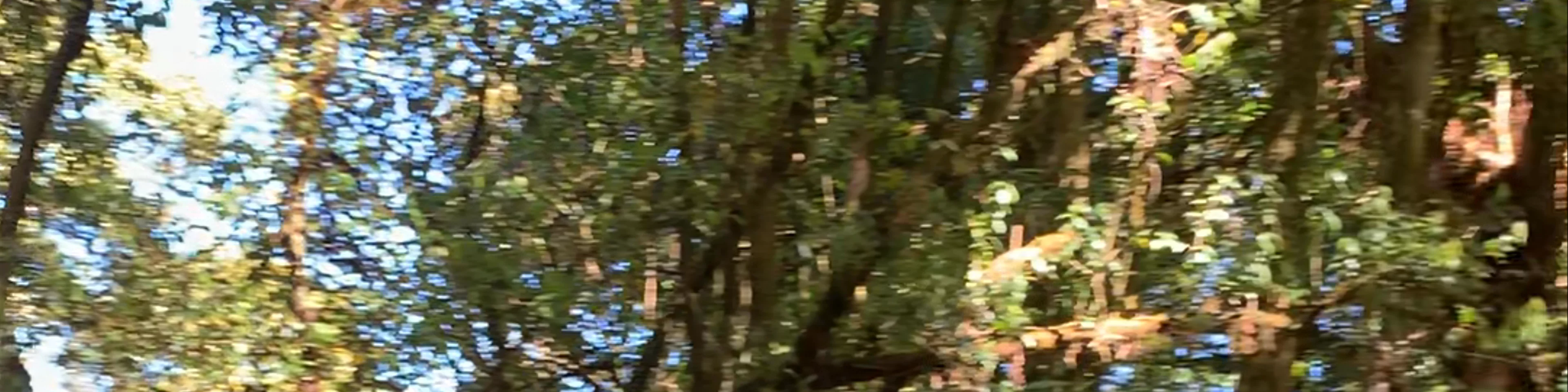 Ang Ka Nature Trail
