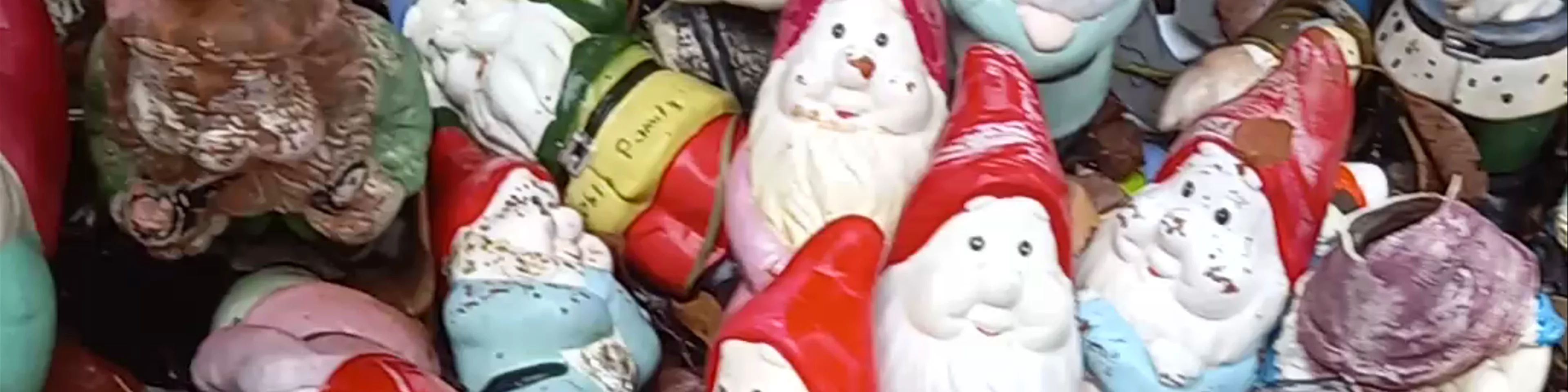 Gnomesville