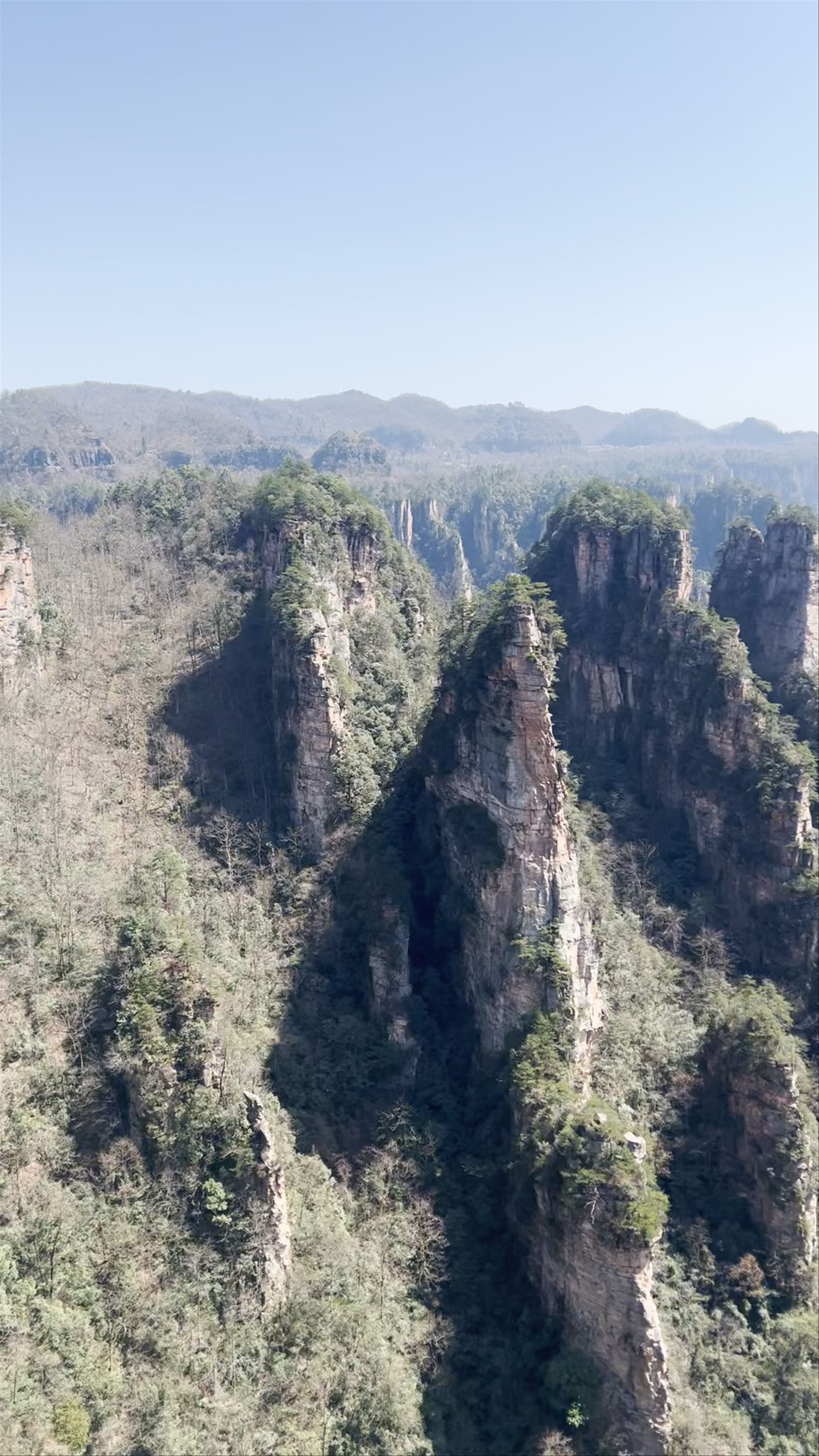 Tianzishan Nature Reserve: Majestic Pillars of Zhangjiajie