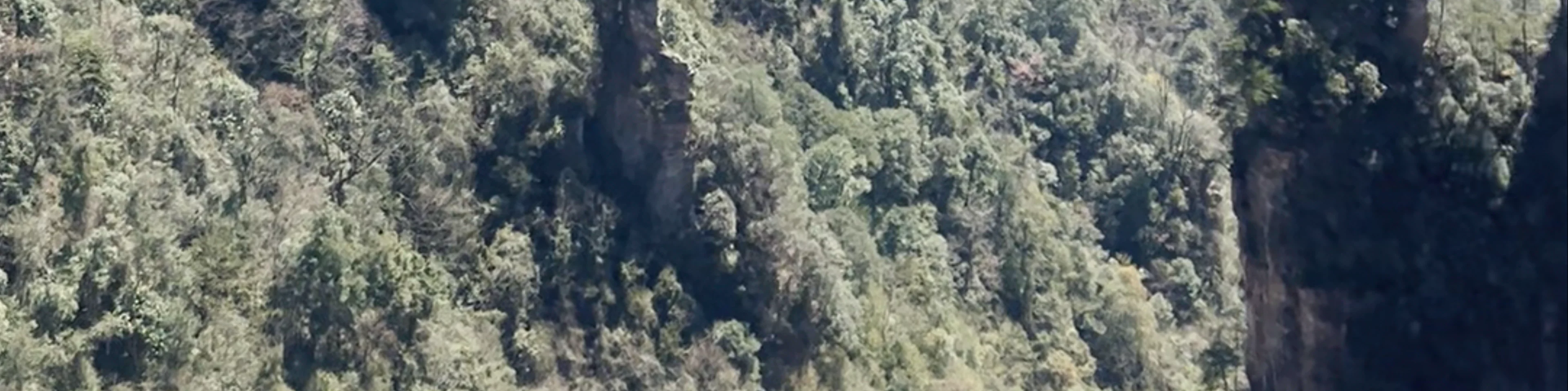 Tianzishan Nature Reserve