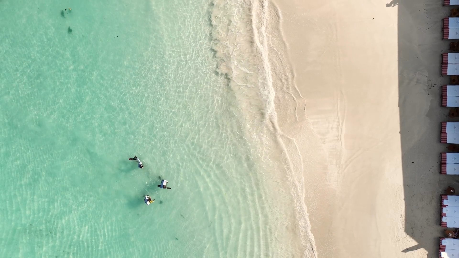 Voices of Change | Reviving reefs, reimagining resources at Eden Rock – St Barths