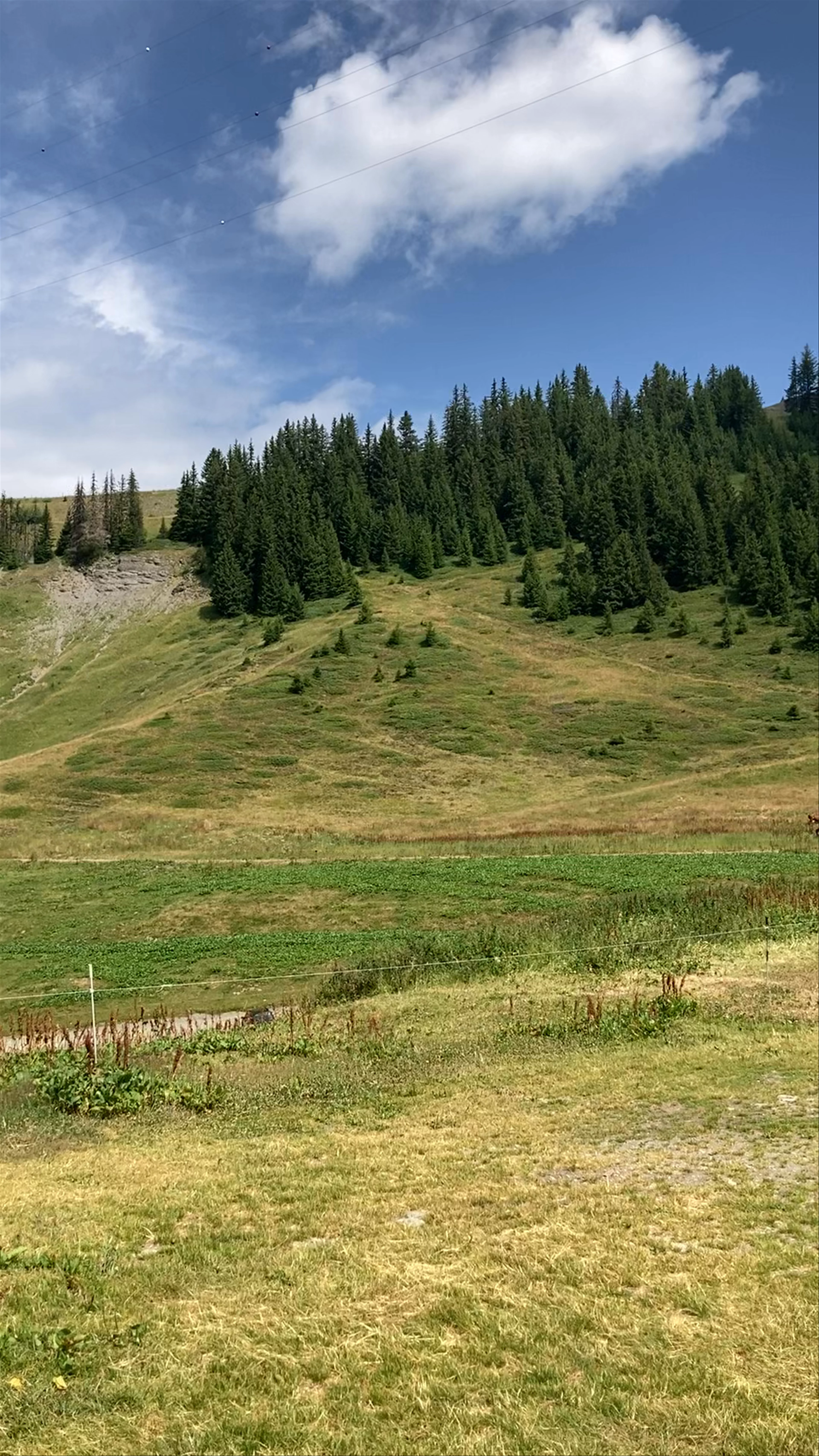 Alpage de l'Airon