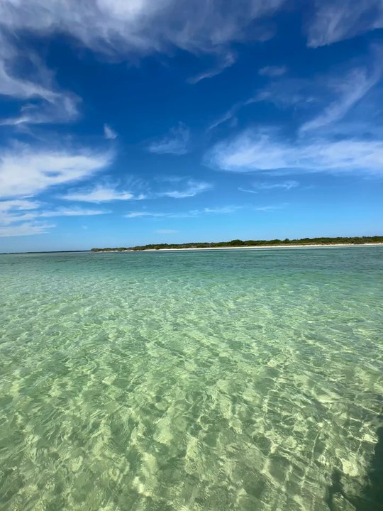 Easy Day Charters - Sandbar - Boat Charters Near Me - Key West, Florida