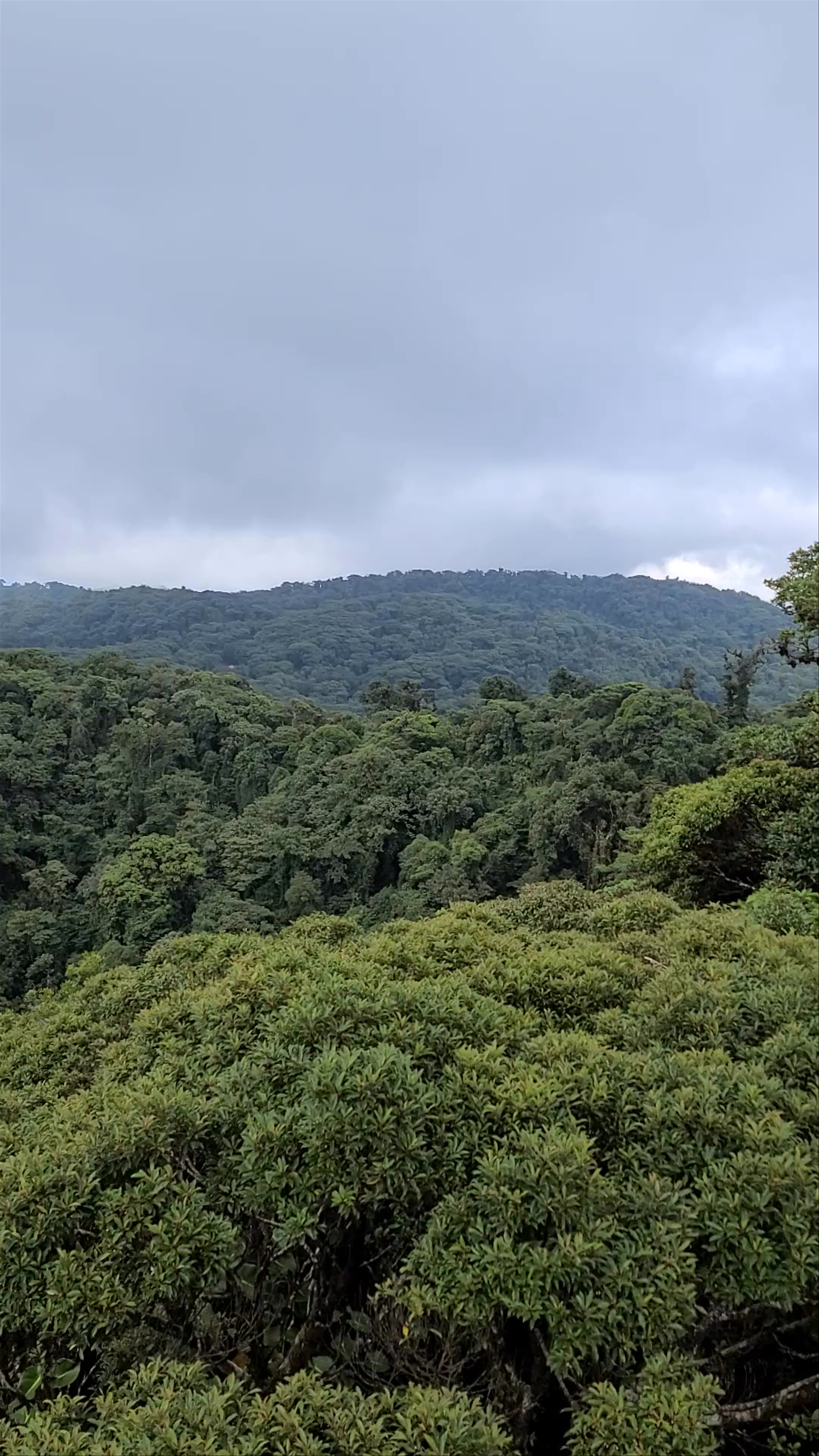 Sky Adventures Monteverde Park