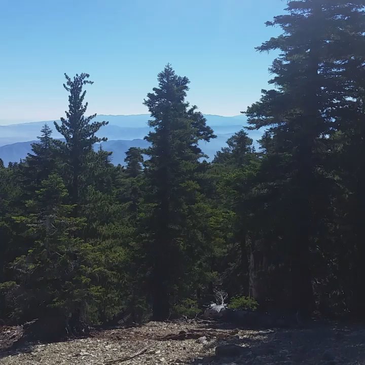 Three T's Trail - Hiking Near Me - Mount Baldy, California