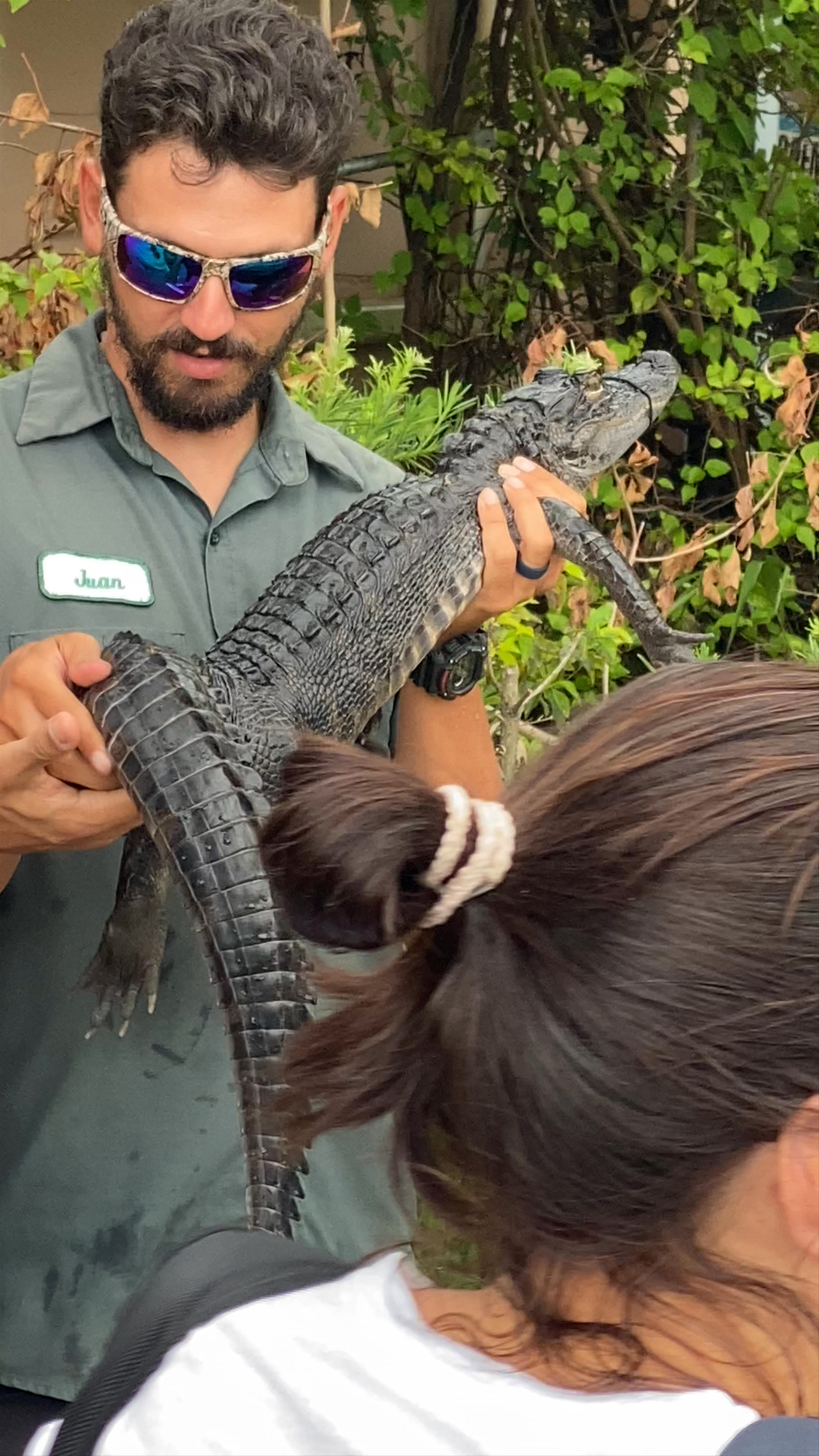 Coopertown The Original Airboat Tour of Everglades National Park