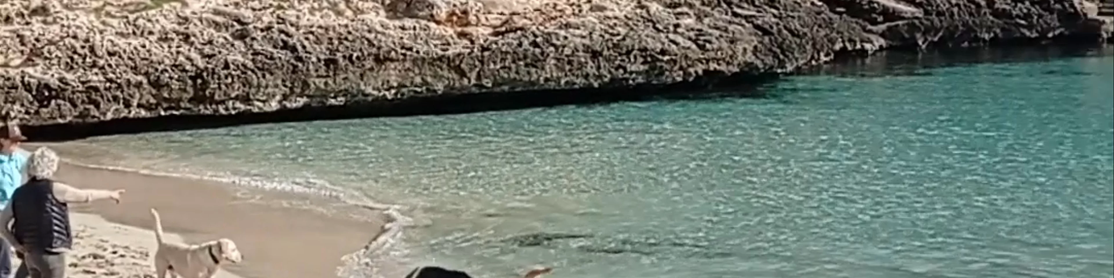 Cala Petita
