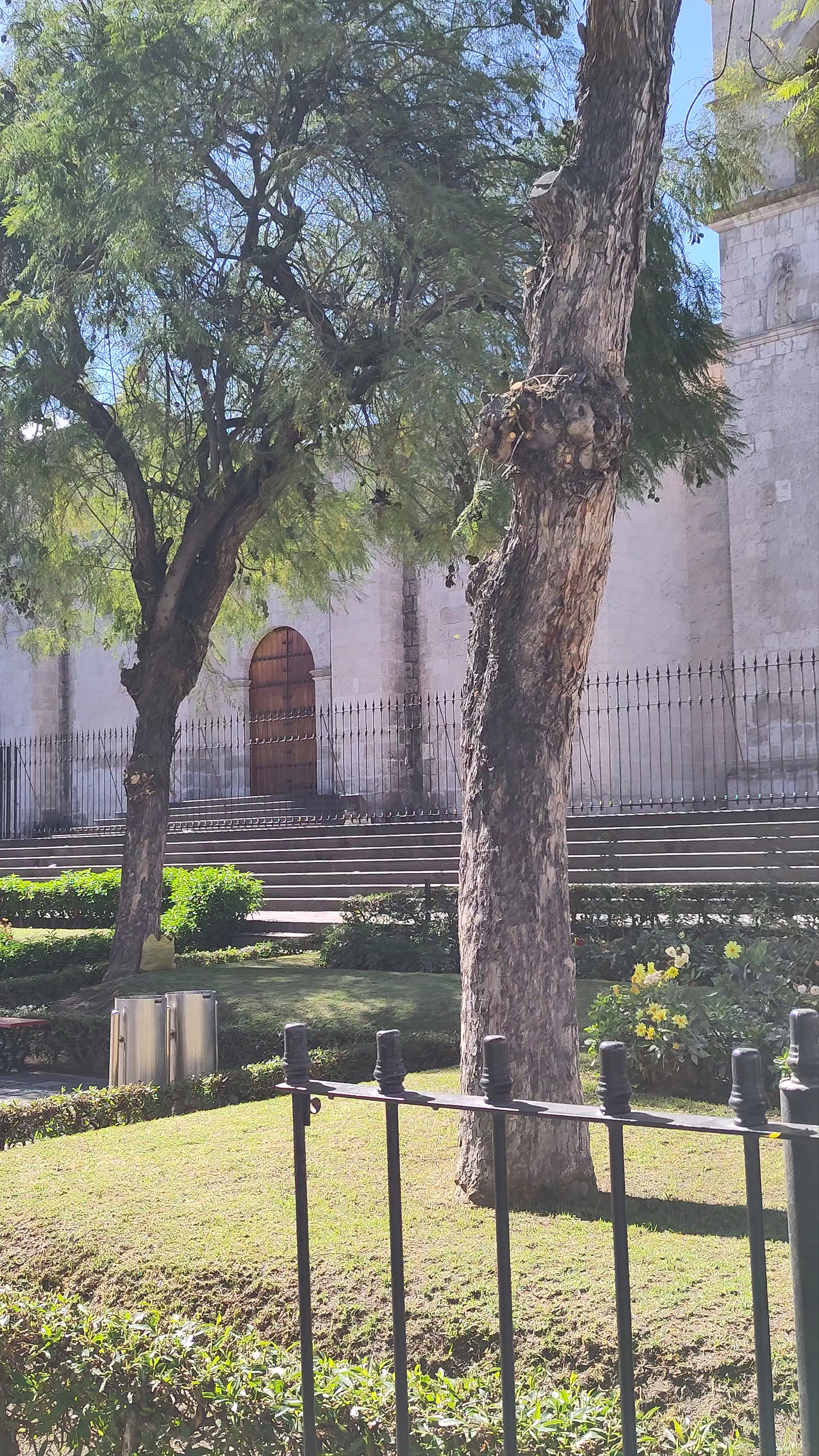Plaza San Francisco
