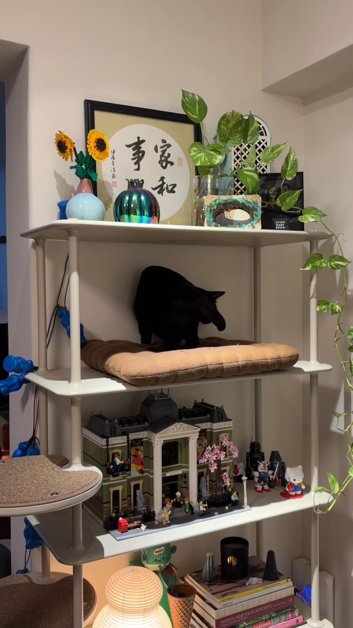 The-purrfect-display-shelf-+-cat-tree-to-upgrade-our-space!