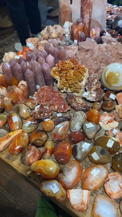 Seed To Stem - Antiques Near Me - Worcester, Massachusetts