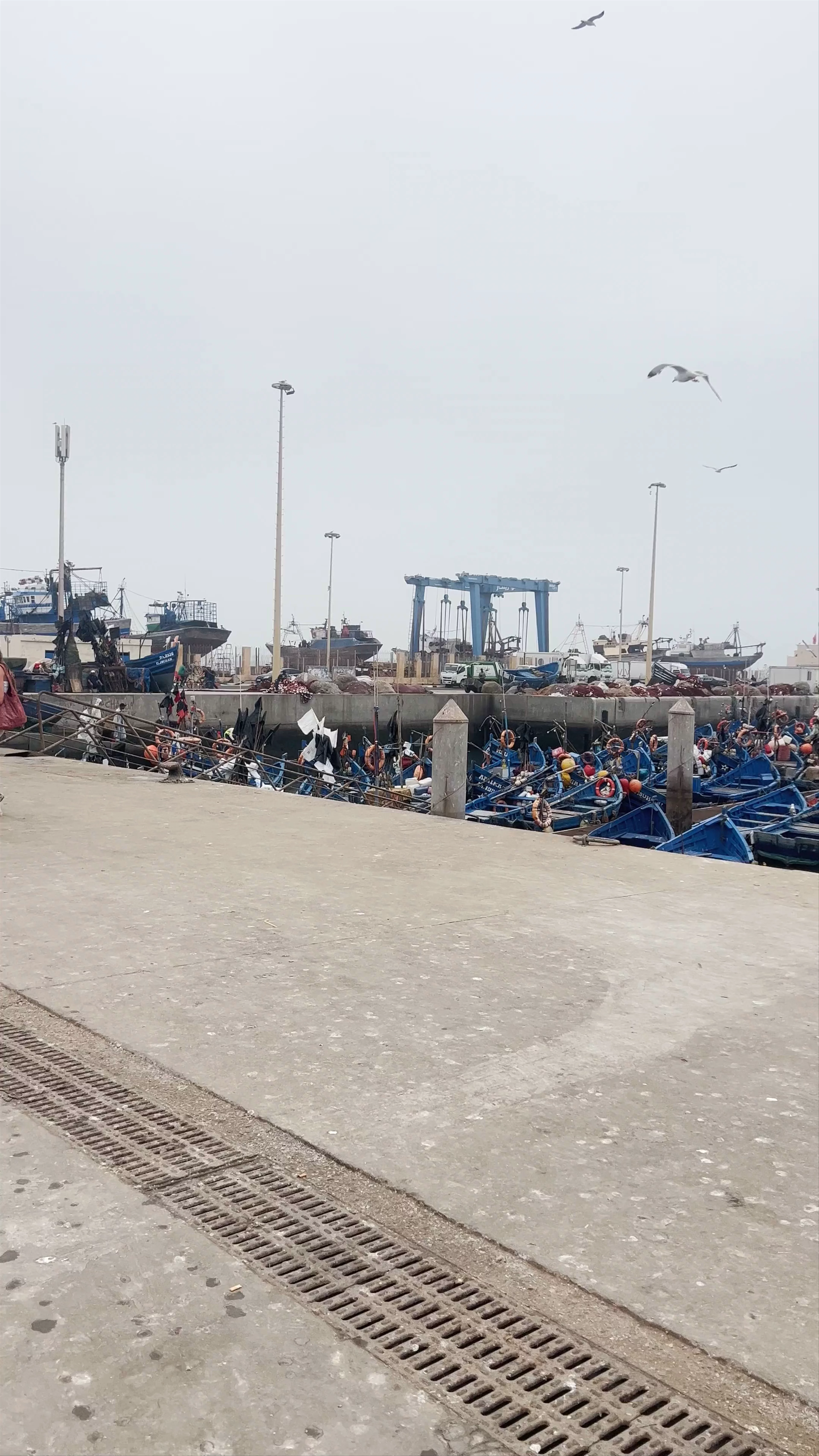 Essaouira Fisherman Boats