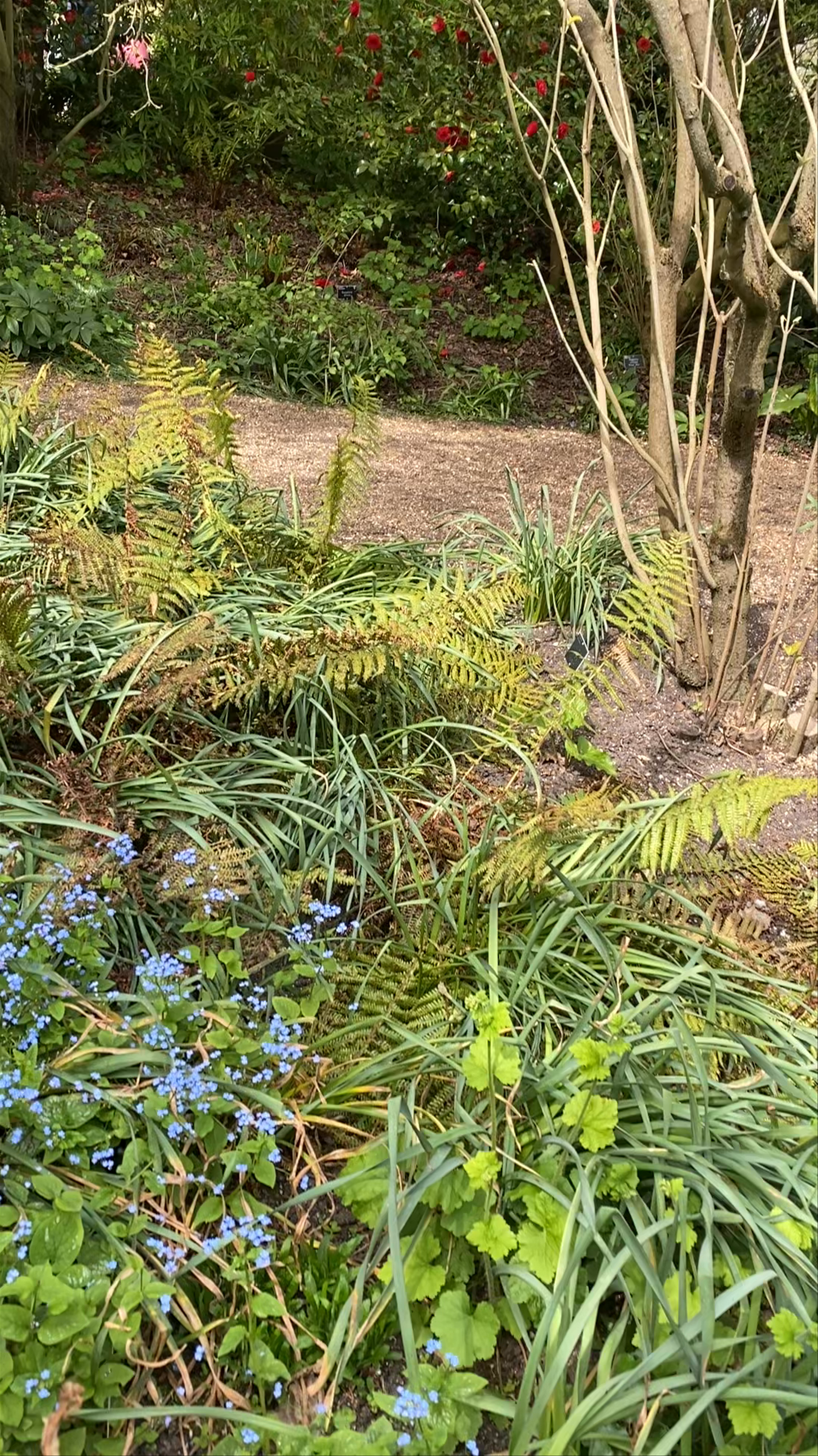 RHS Garden Hyde Hall