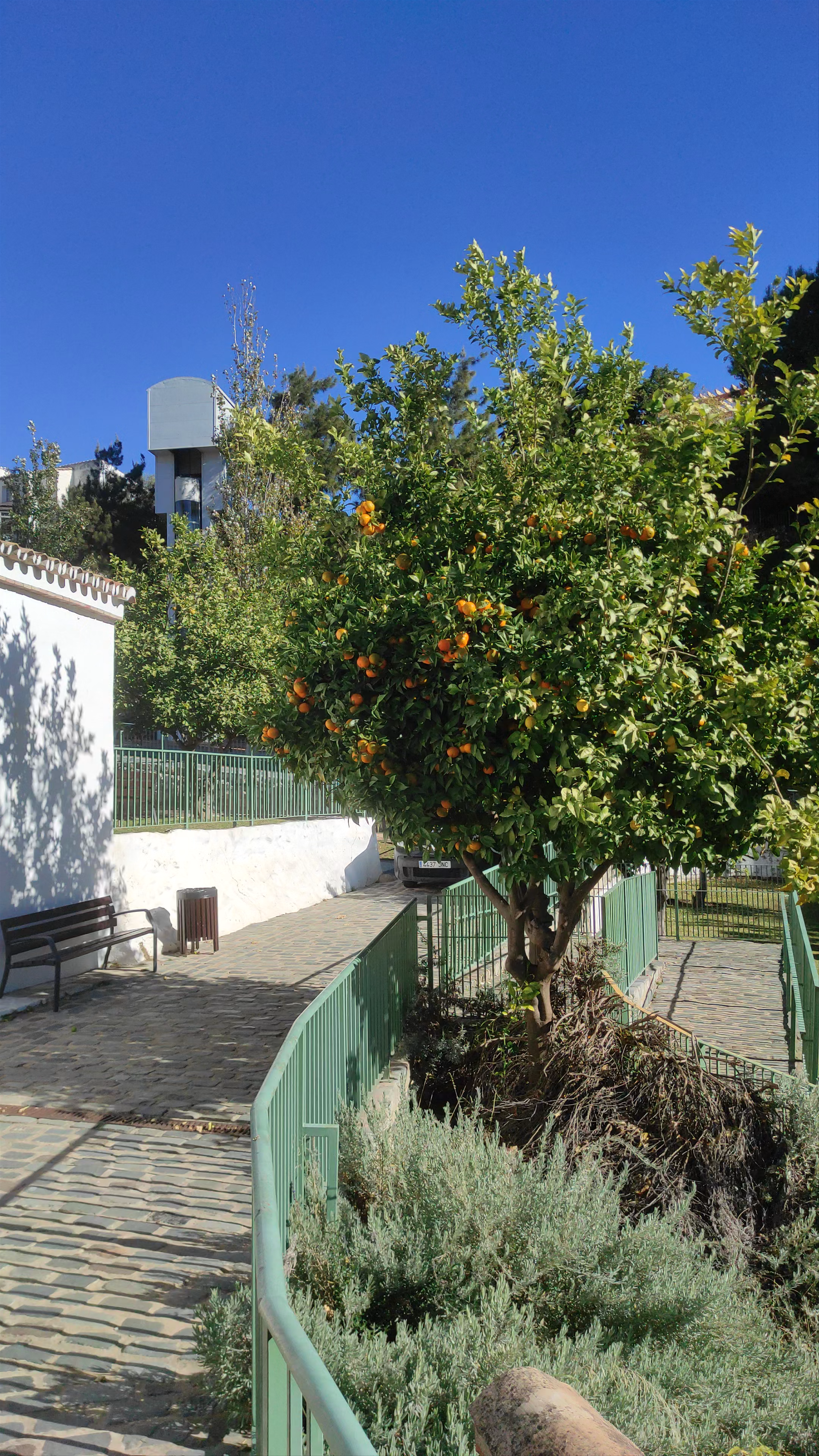 Sunny Stroll Through Calle Ibiza, Benalmádena