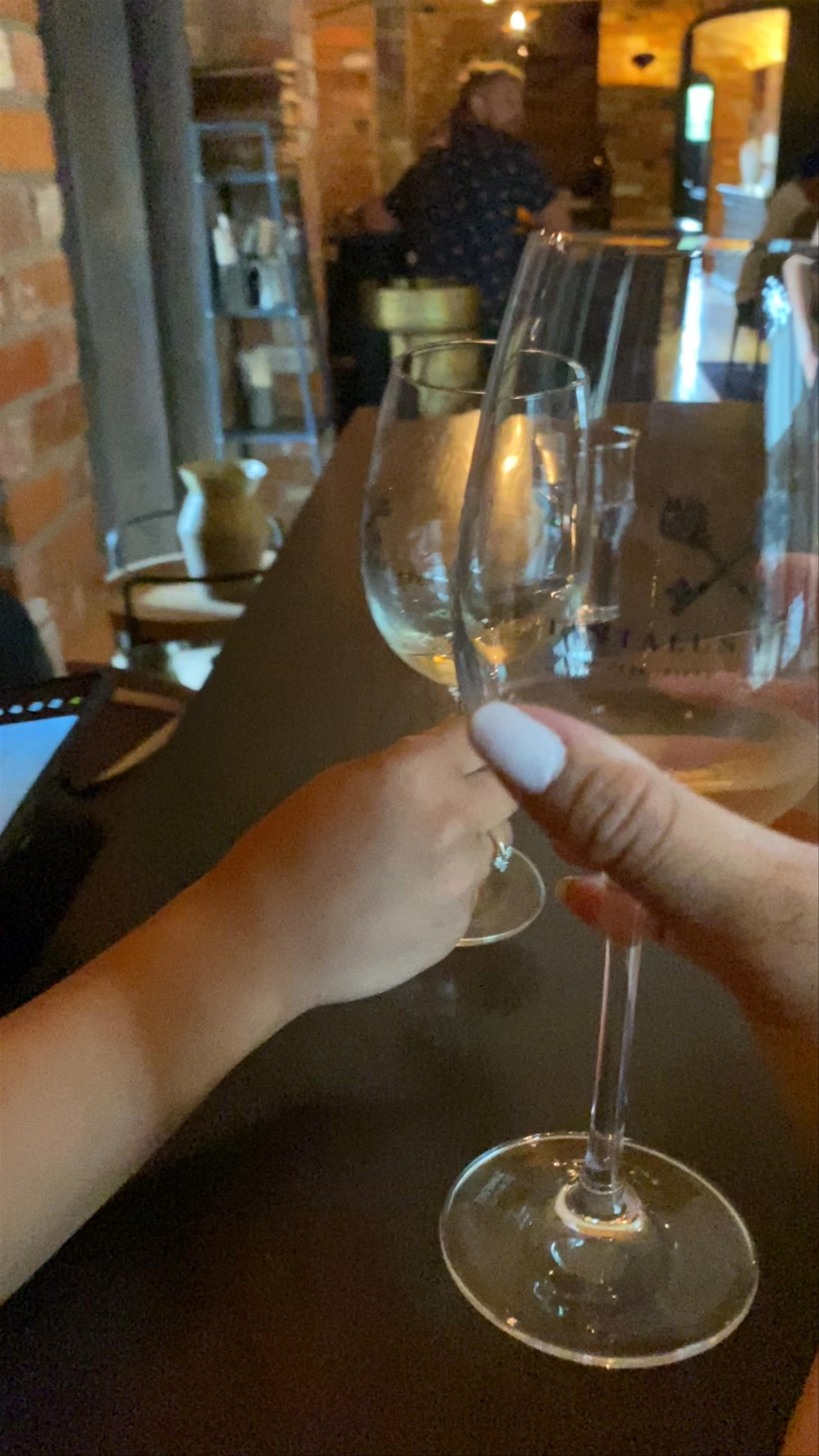 Cozy Wine Tasting at Alibi Brewing Company, Waiheke Island