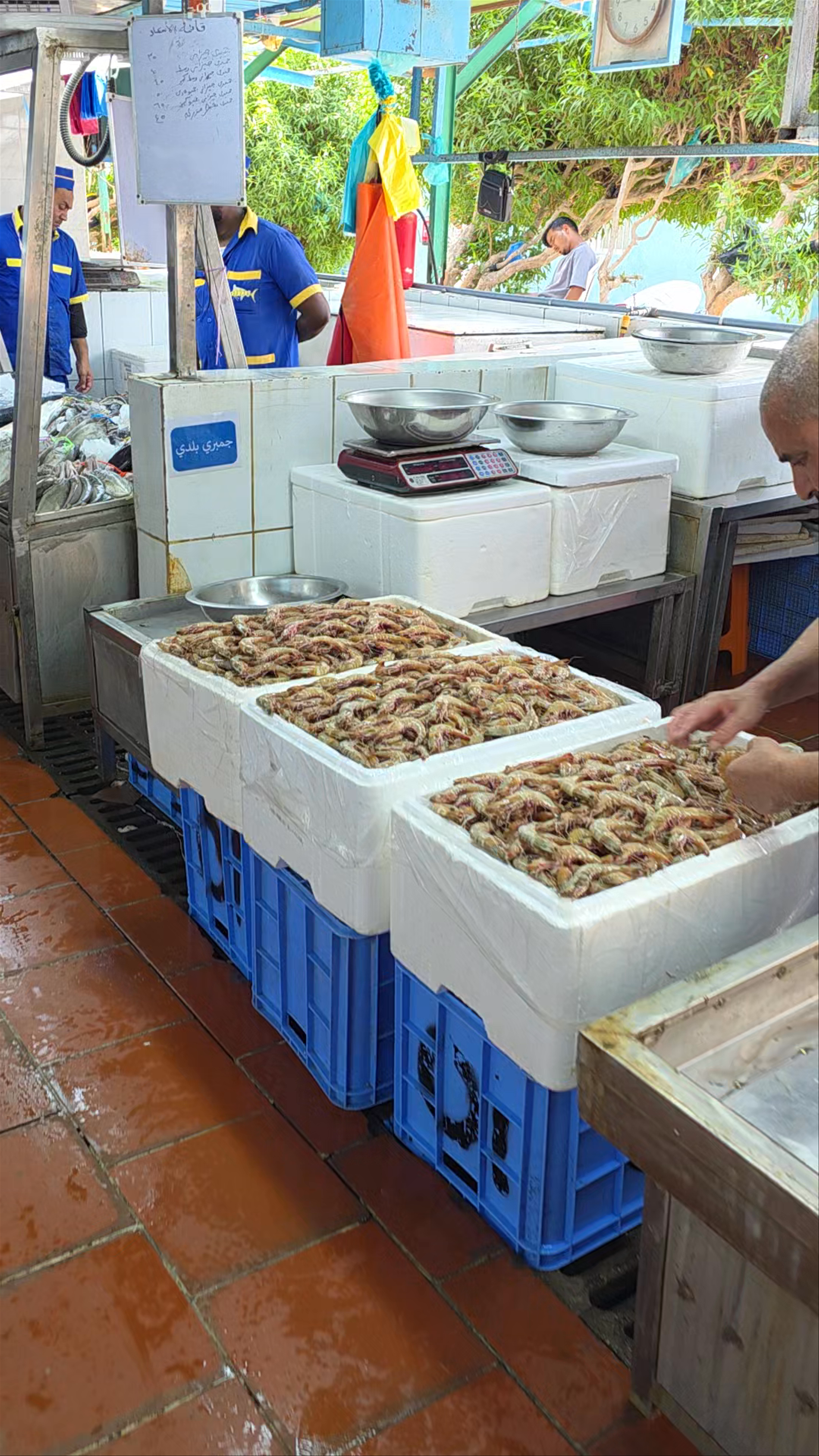 Jeddah Fish Market