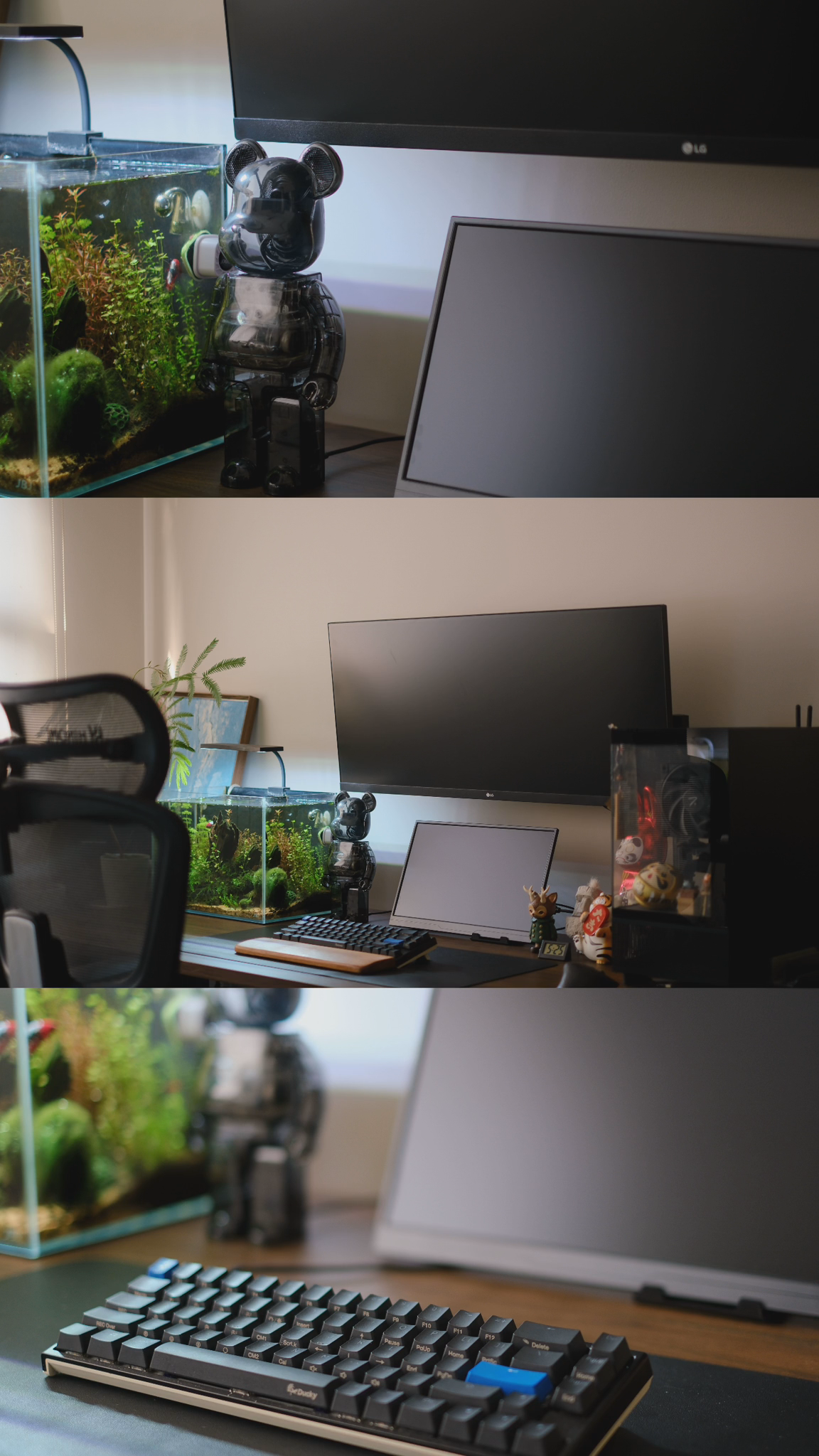 His-own-space,-my-quiet-moment-