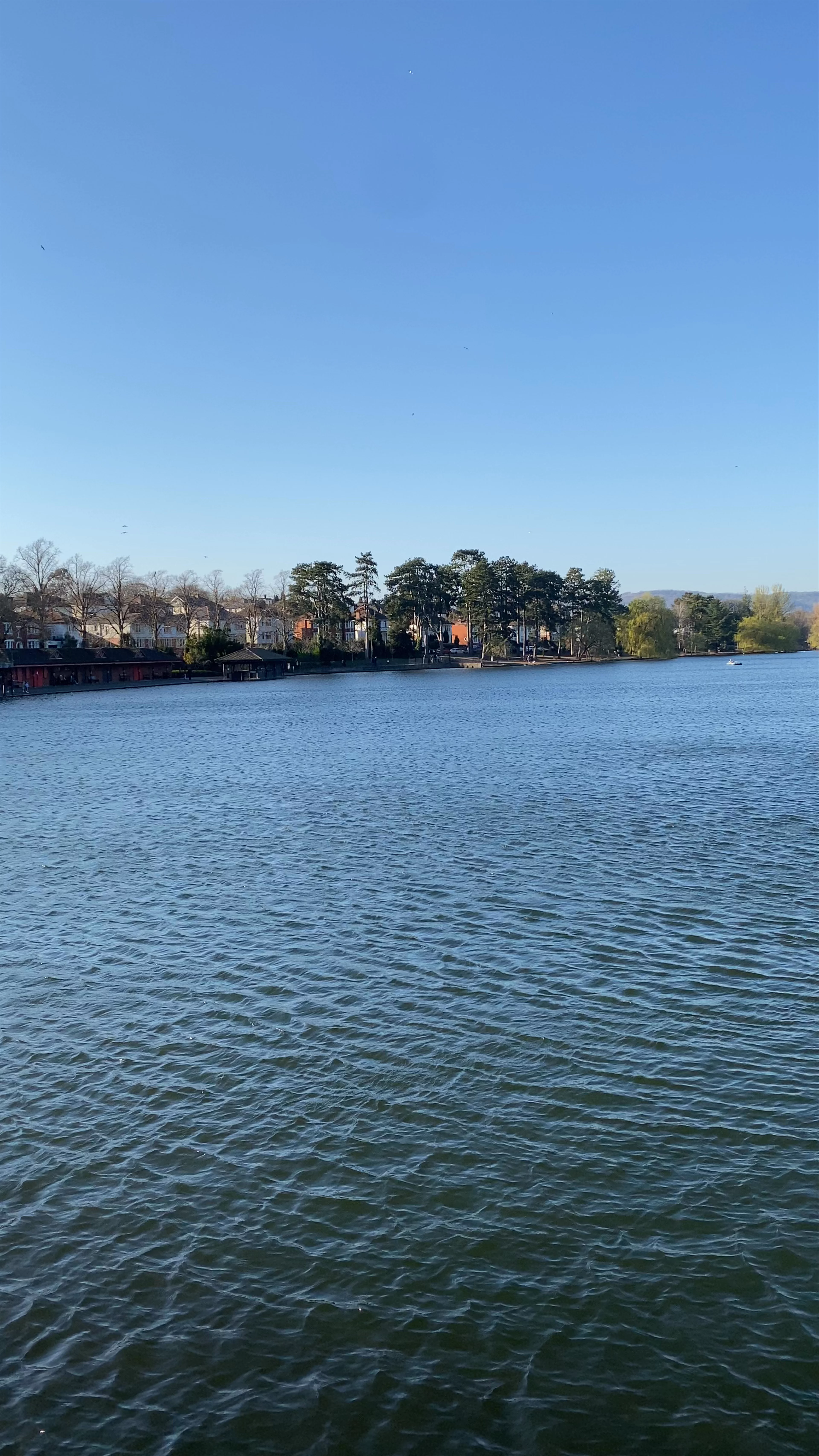 Roath Park