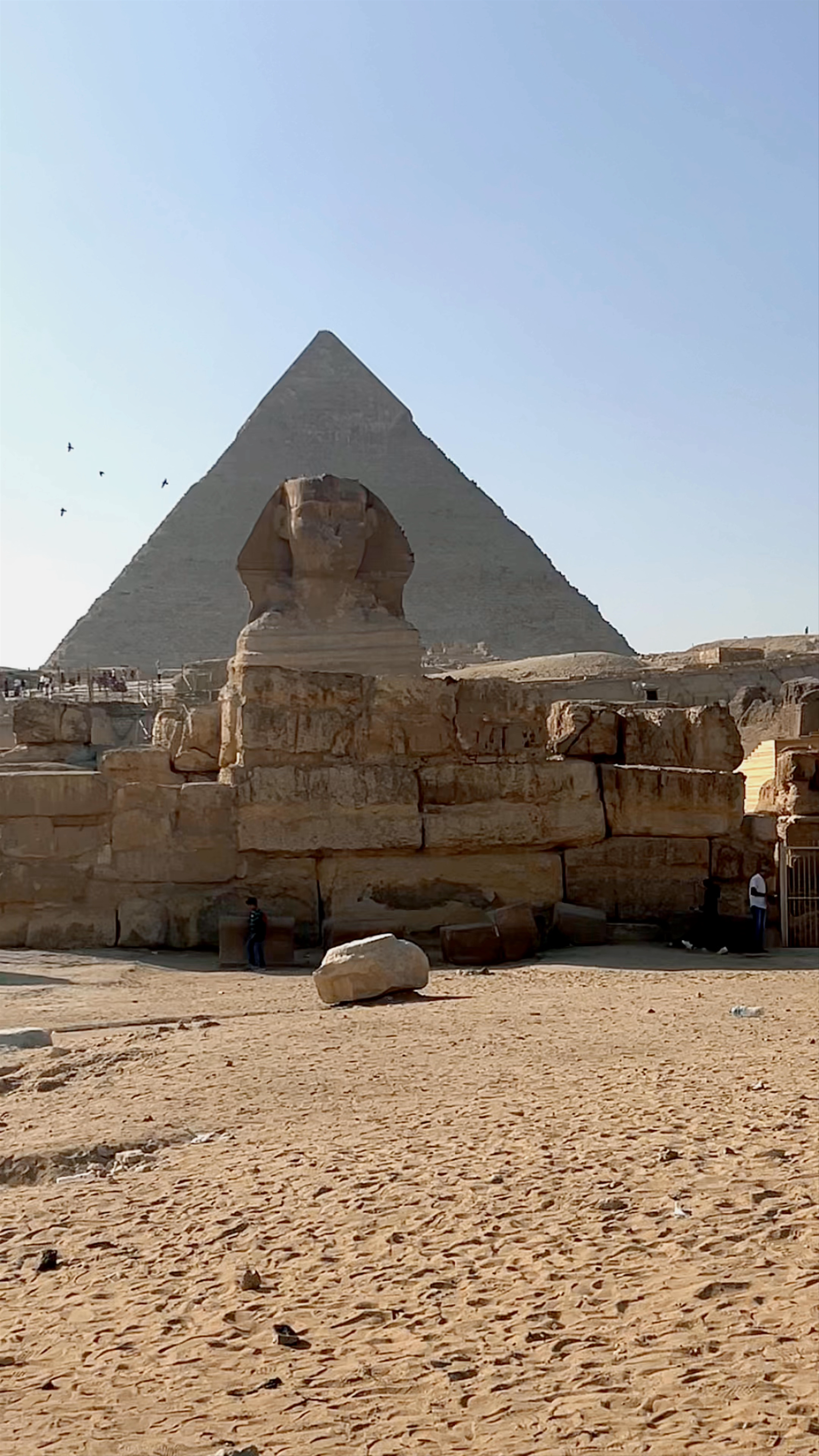 Great Sphinx of Giza: Mystical Wonder in Egypt’s Desert