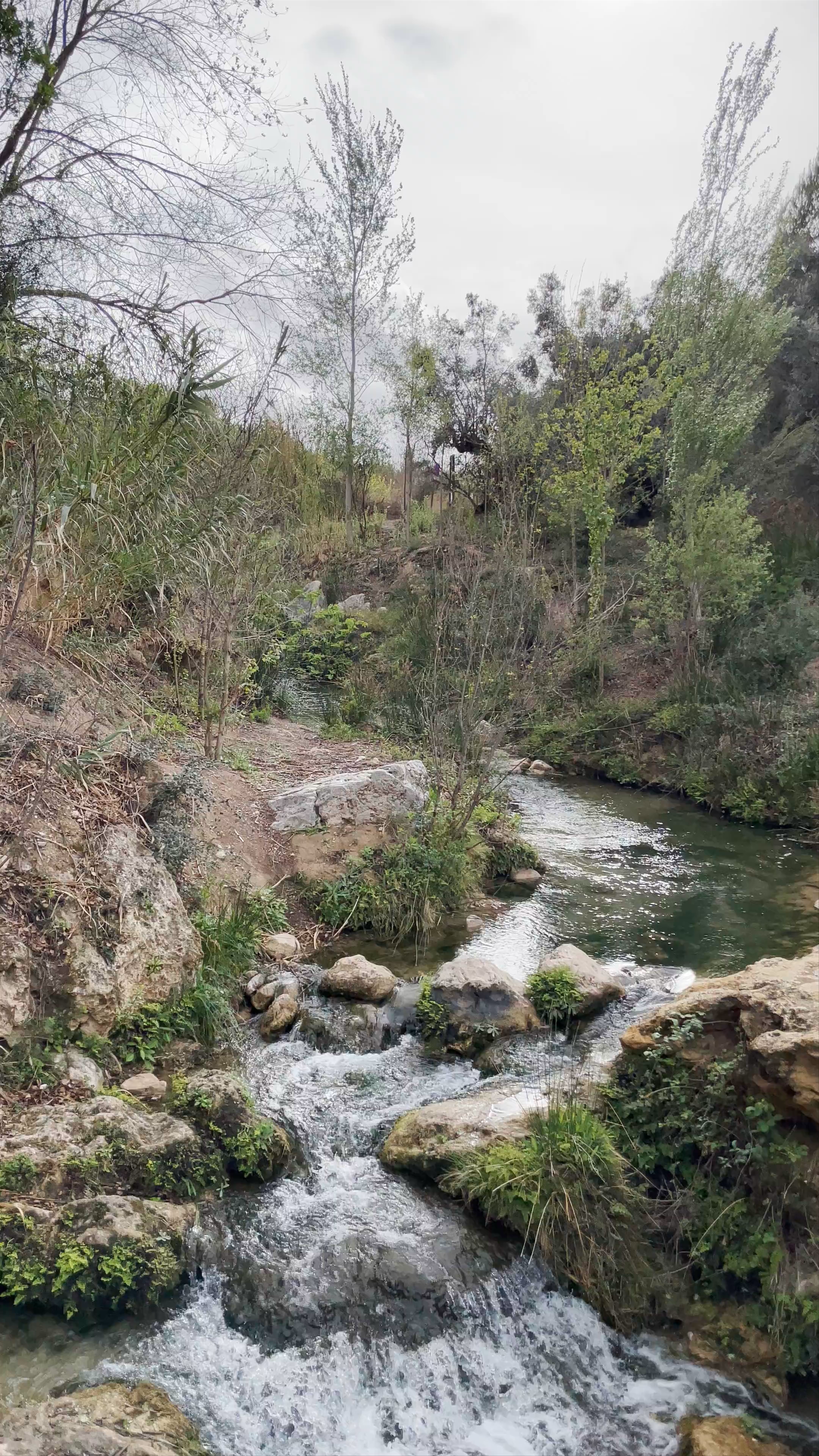 Hidden Natural Spring and Stream Walk in Bullas, Spain