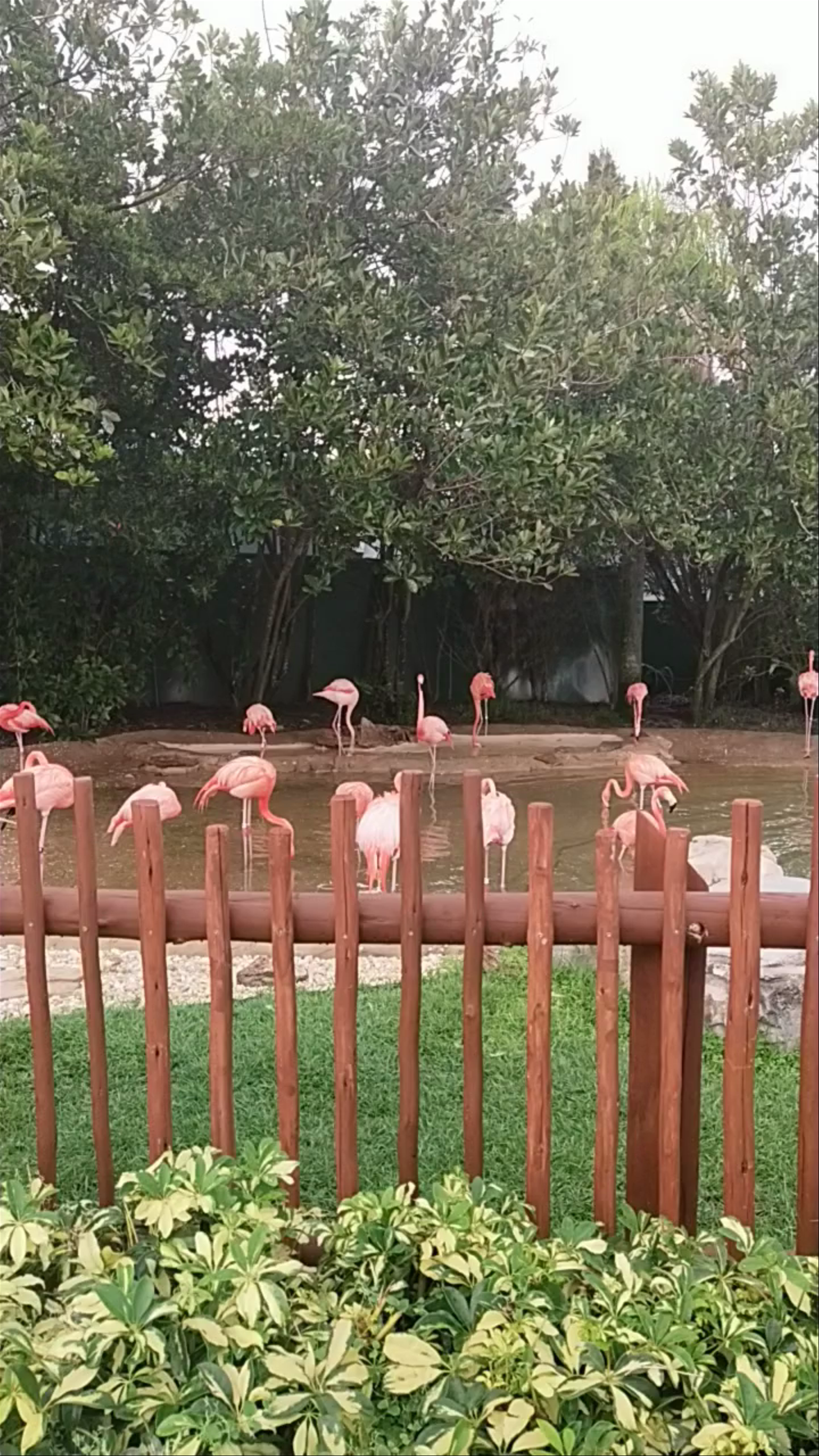 Aquatica Orlando